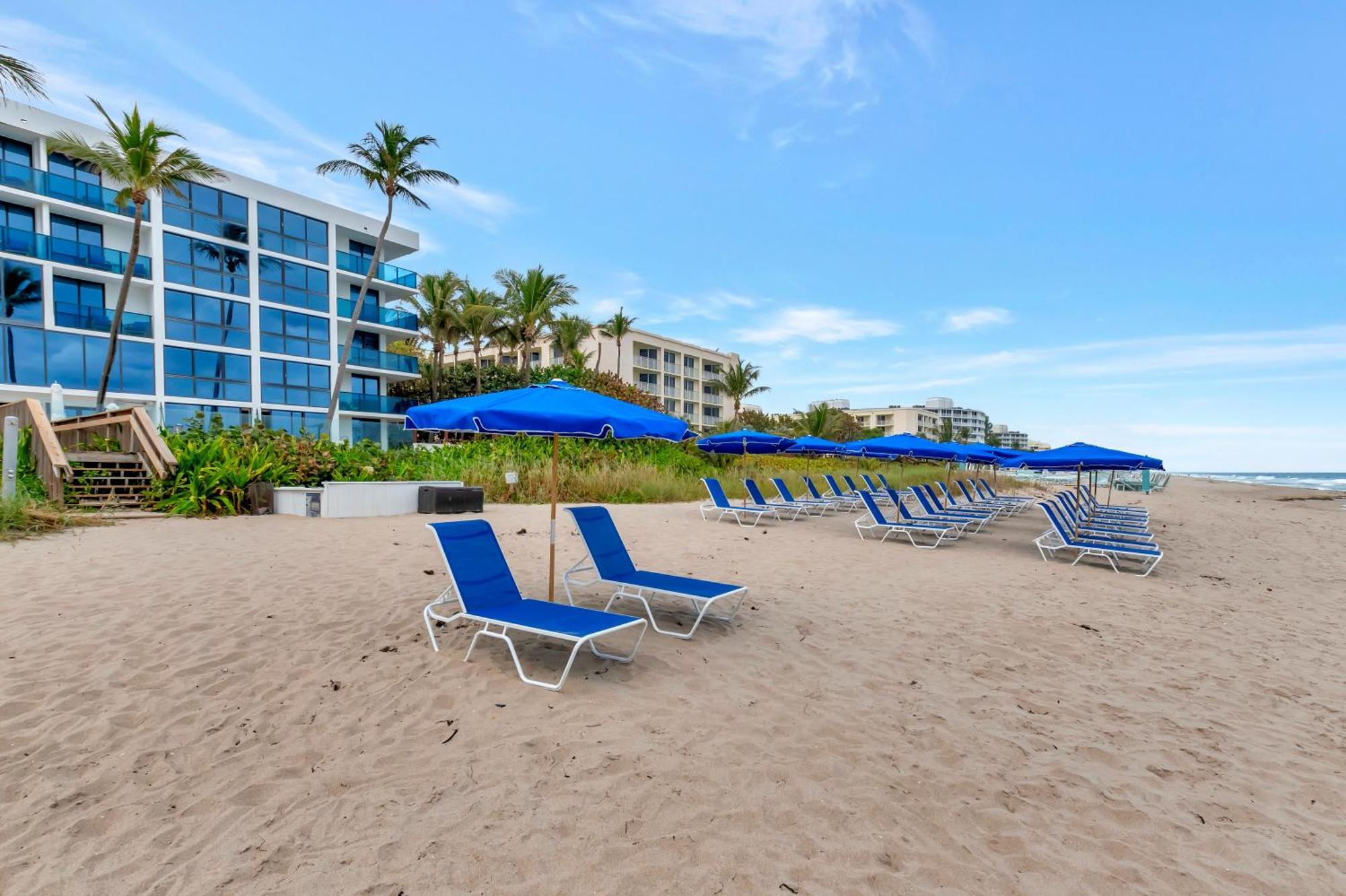 Tideline Palm Ocean And
