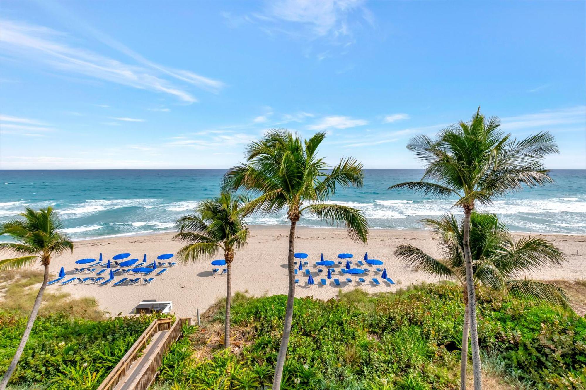 Tideline Palm Ocean And 5*