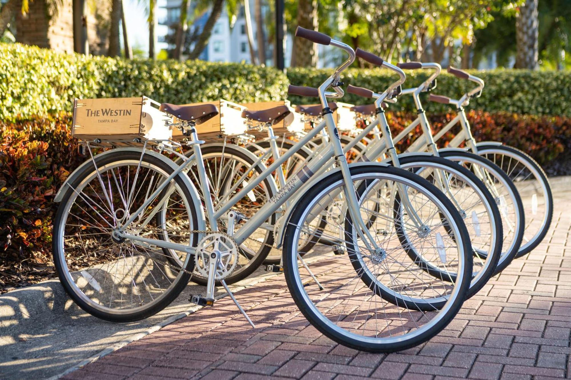 The Westin Bay Tampa