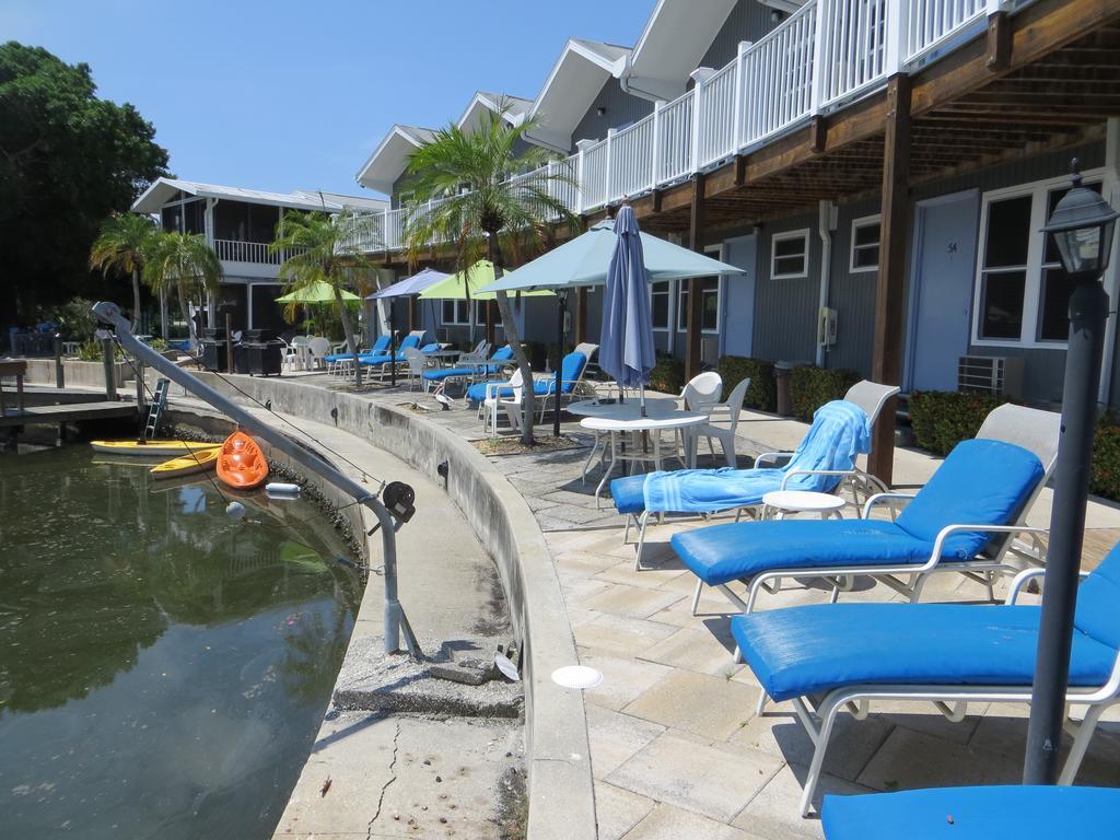 Dolphin Hotel 2*