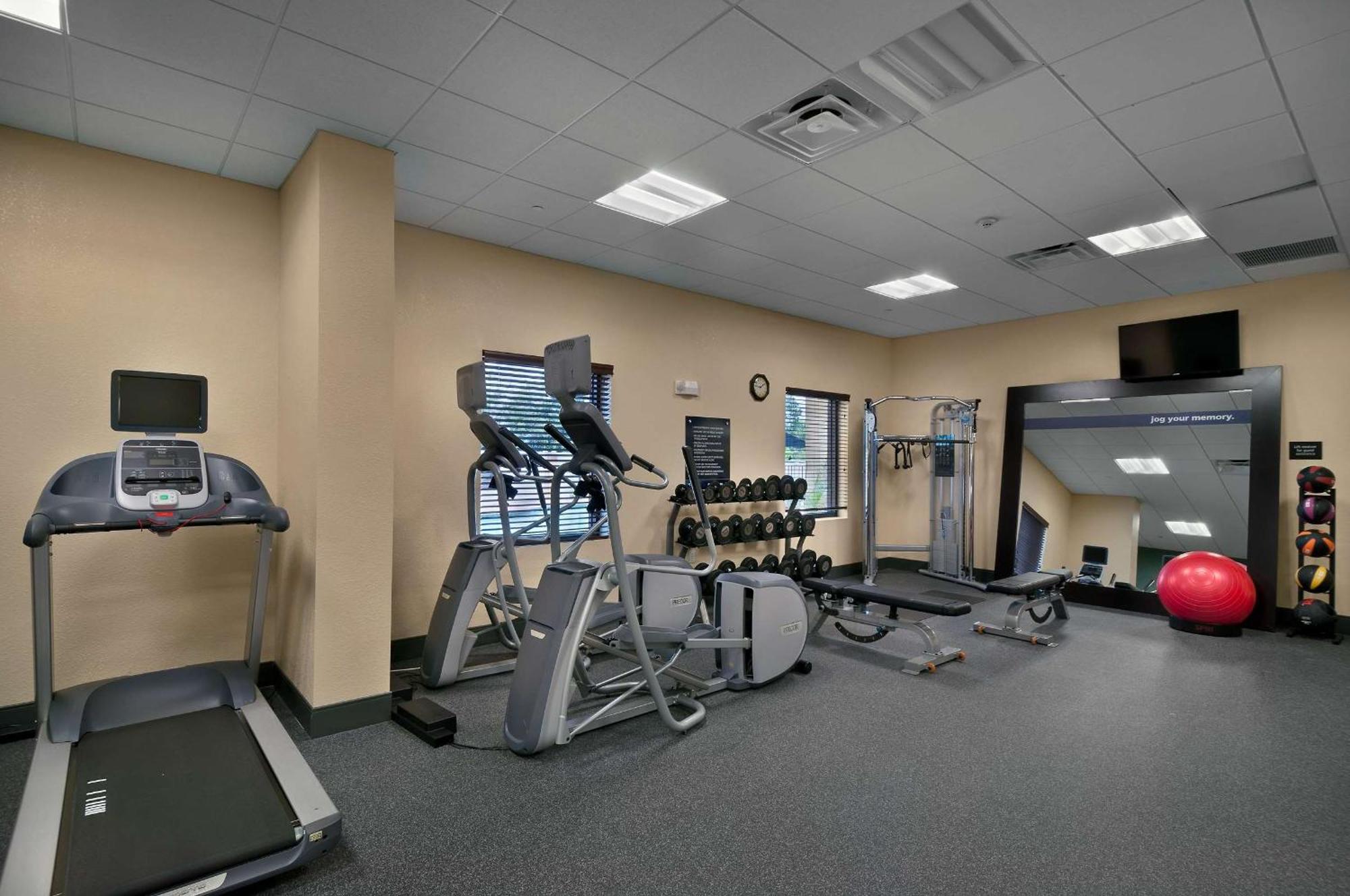 Hampton & Tampa Northwest/oldsmar Hotel Oldsmar