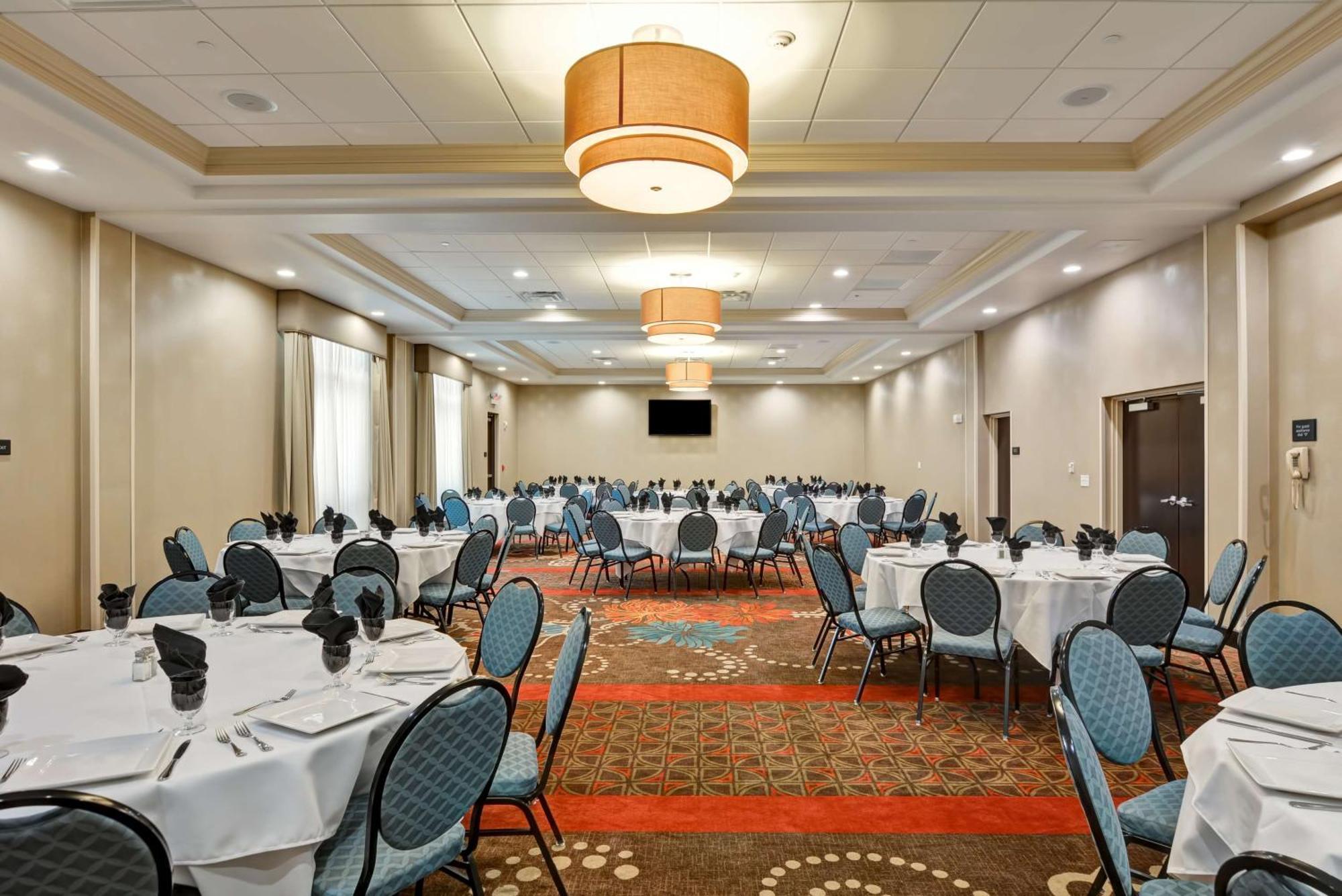 Hotel Hampton & Tampa Northwest/oldsmar Oldsmar
