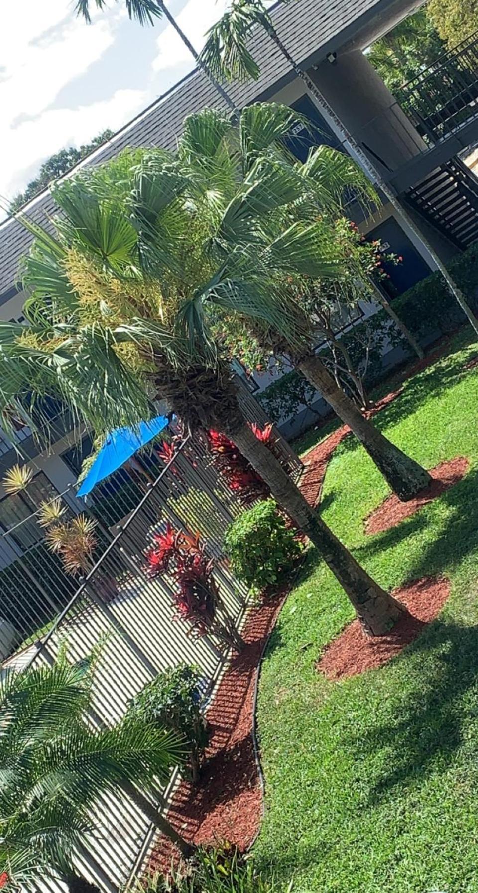 6-lantana West Palm Beach, Fl Hotel 2*