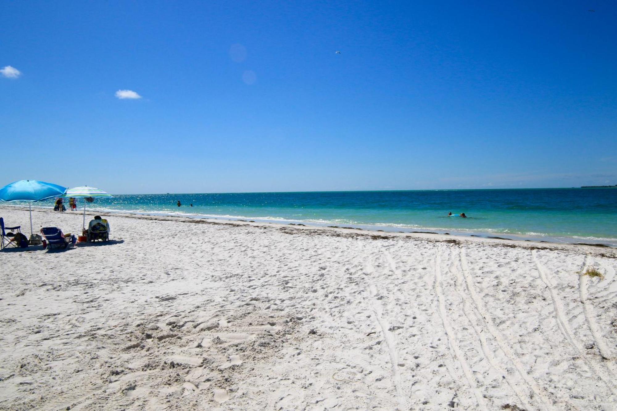 Apartment Anna Maria Island Runaway Tropical Dream-one Minute Walk To The Beach-heated Pool *