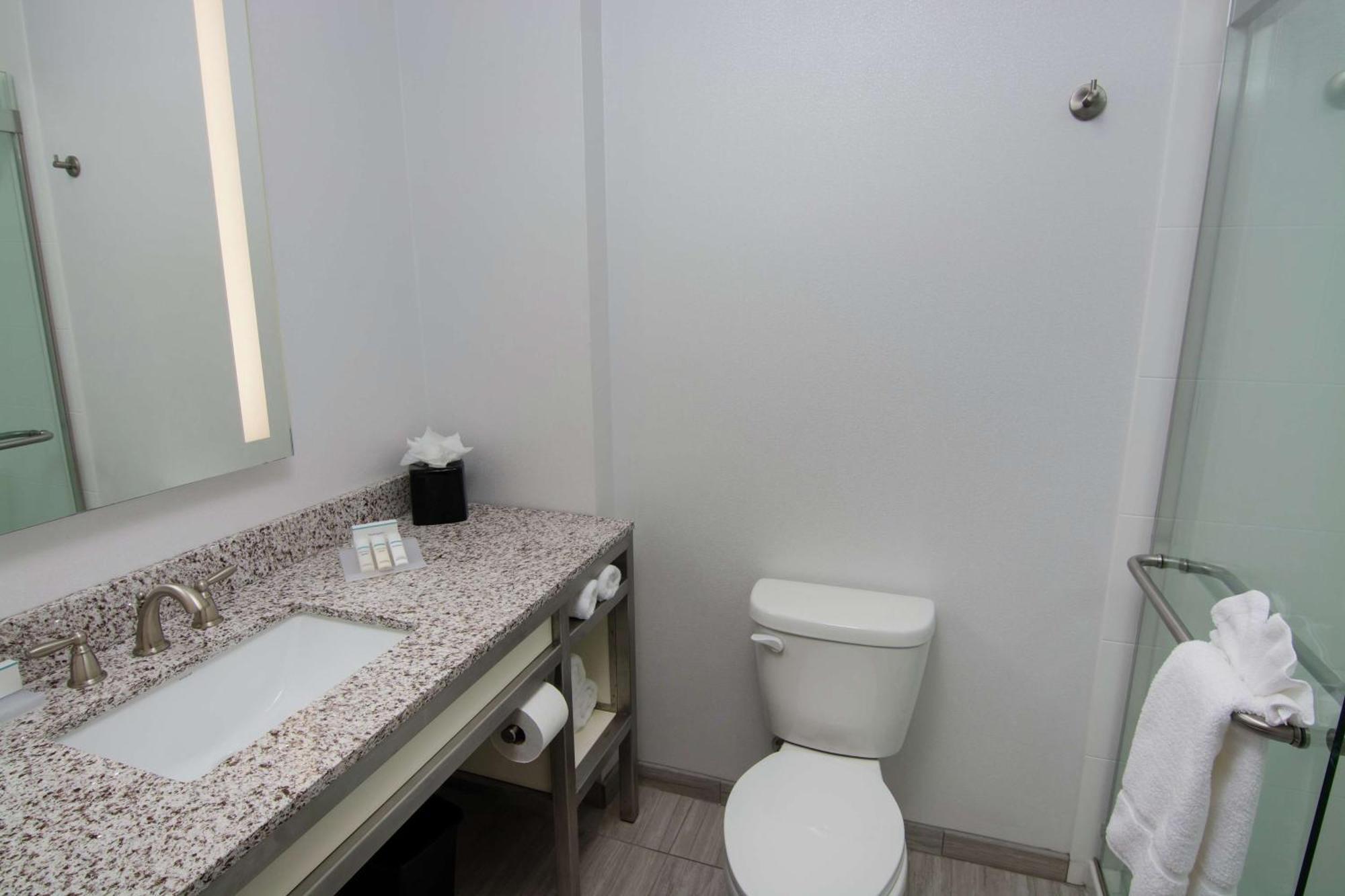 Hilton Garden Tampa Suncoast Parkway 3*