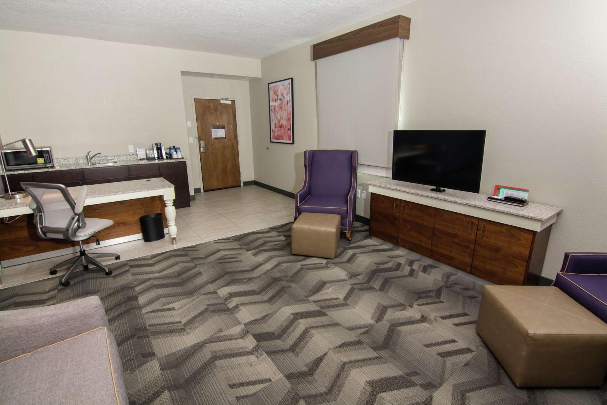 Hotel Hilton Garden Tampa Suncoast Parkway