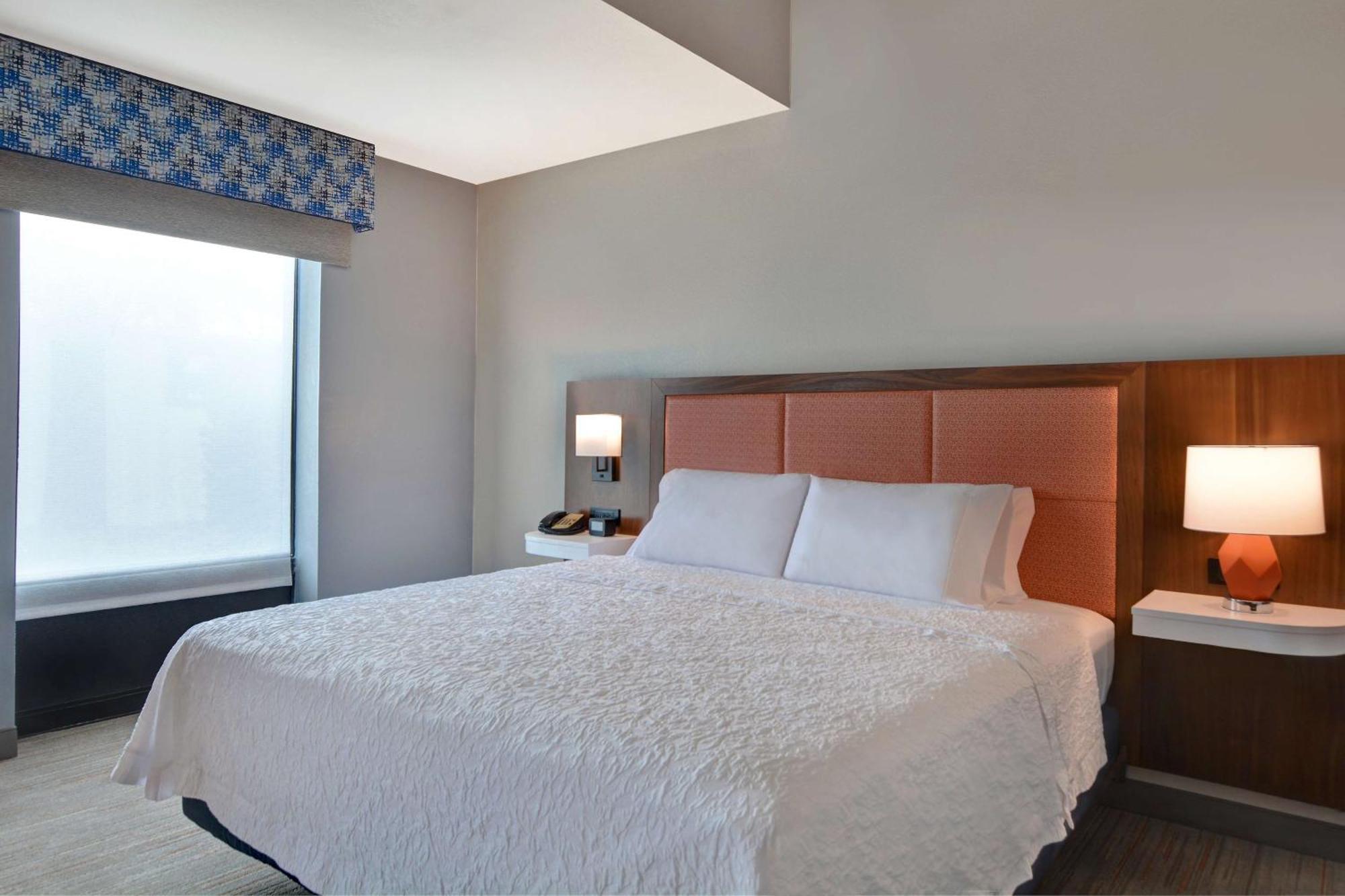 Hotel Hampton & St Petersburg Ulmerton Road Fl Clearwater