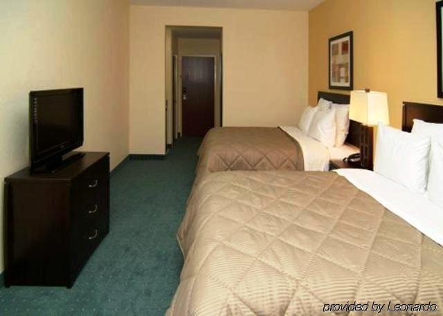 Comfort & Northeast - Gateway Hotel St. Petersburg
