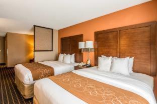 Hotel Comfort