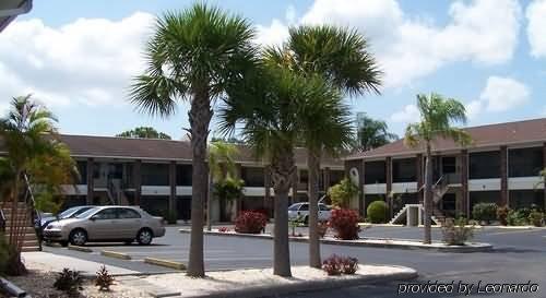 Palm Manor