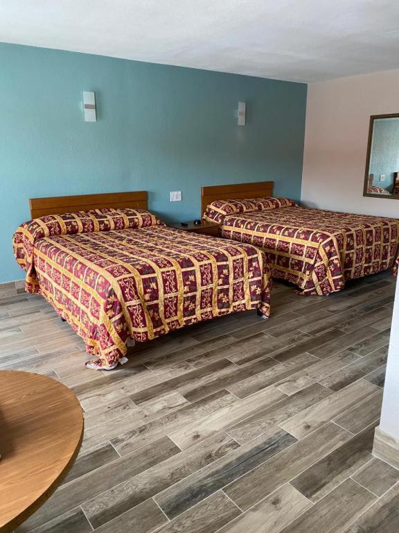 Motel Red Carpet Daytona