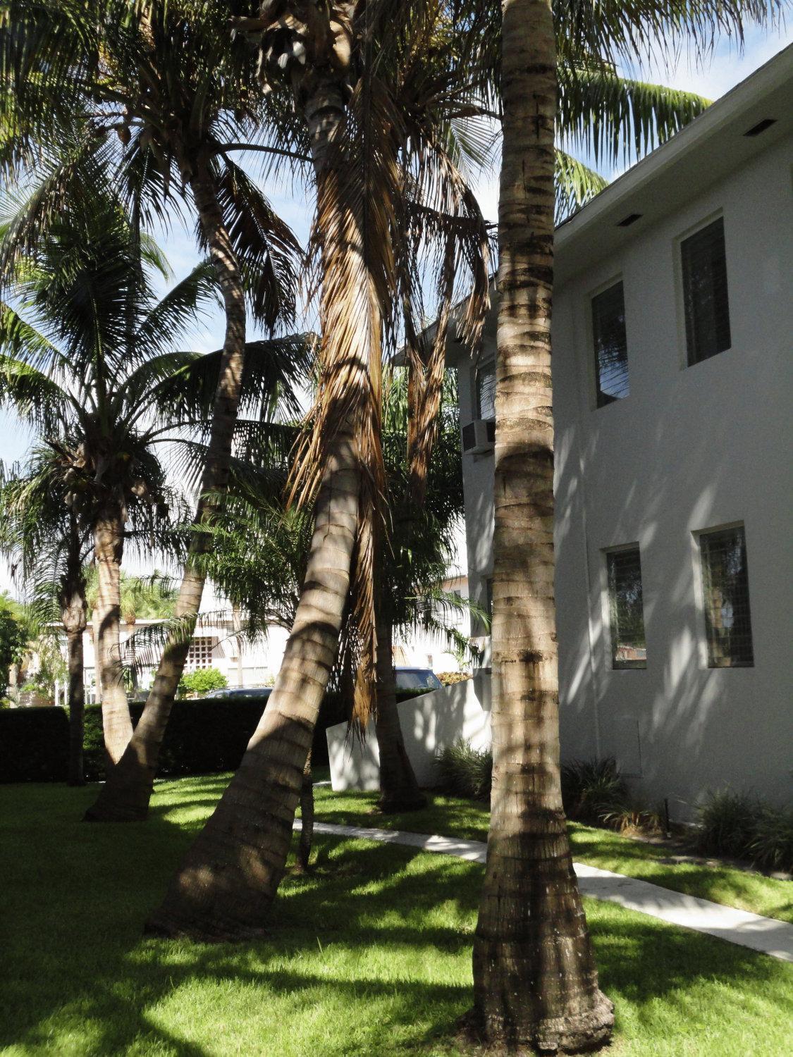 Aparthotel Summerland