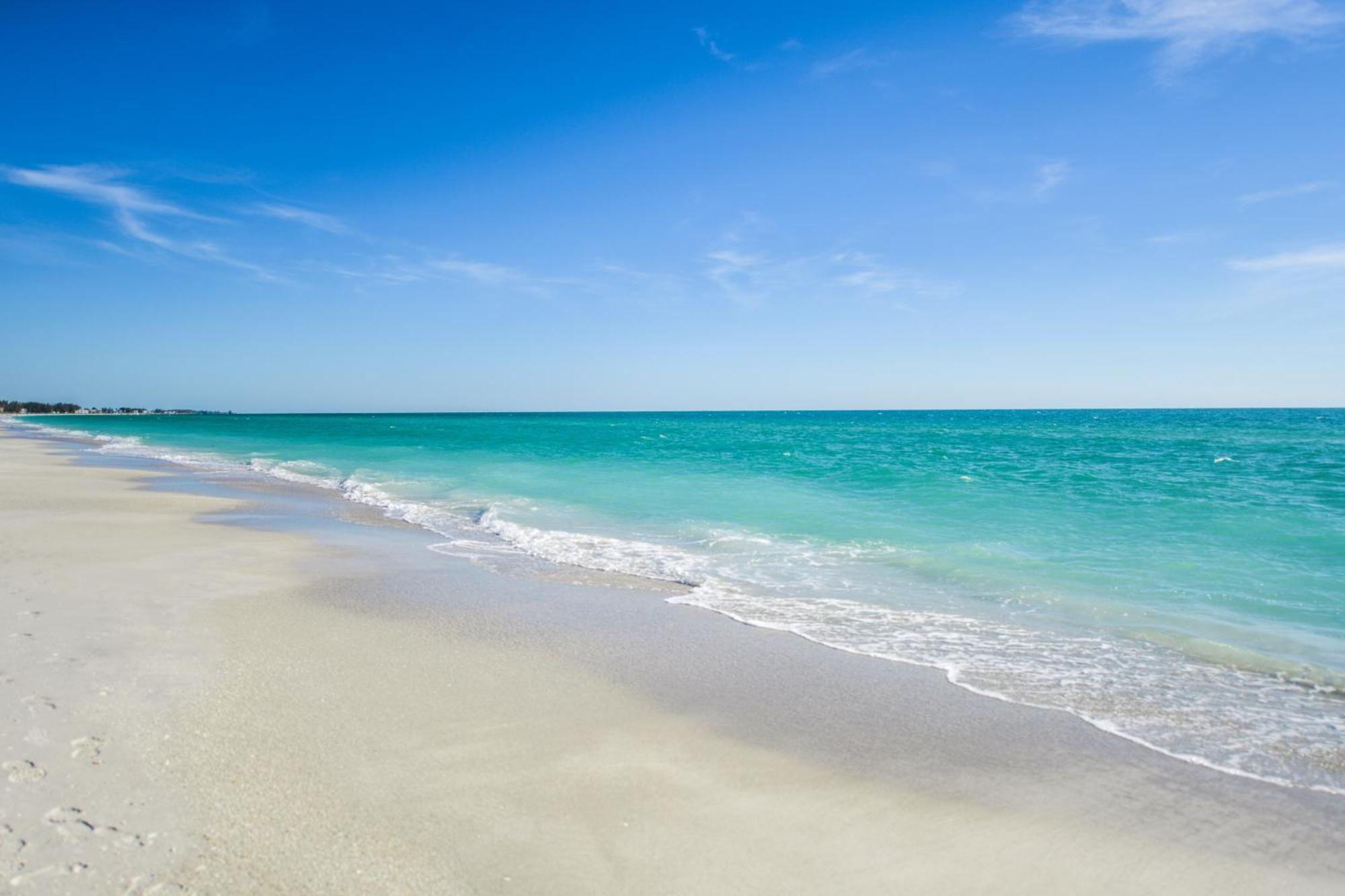 Anna Maria 5*