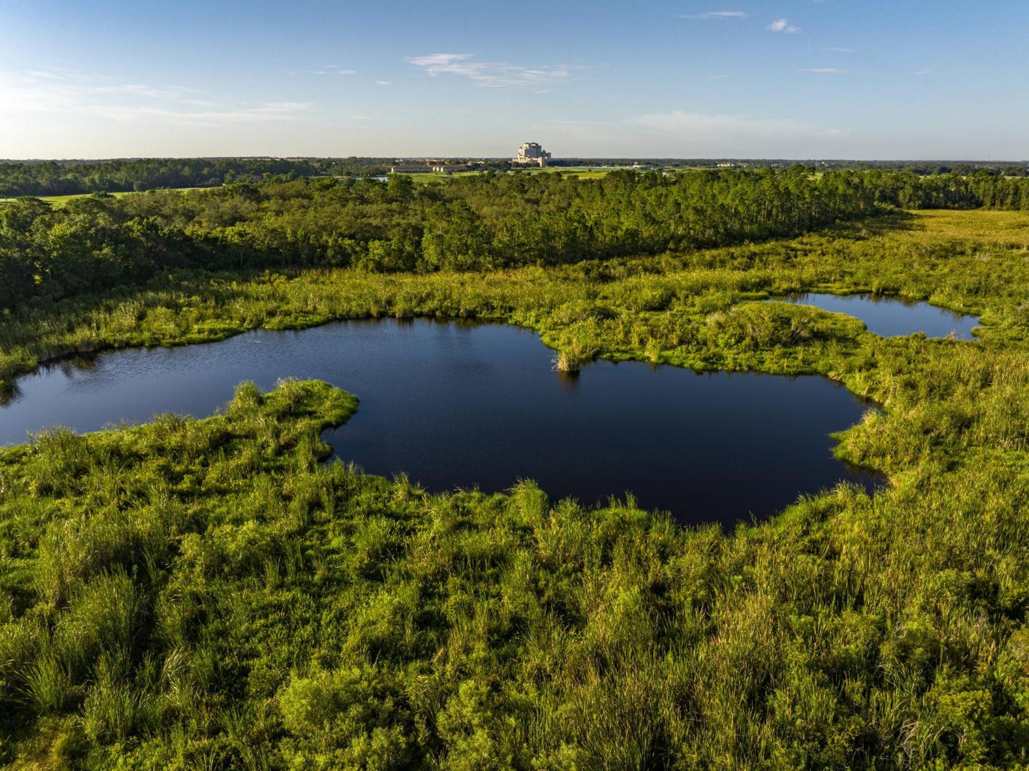 Omni Orlando At Championsgate Resort 4*