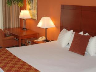 Hotel Oasis 3*