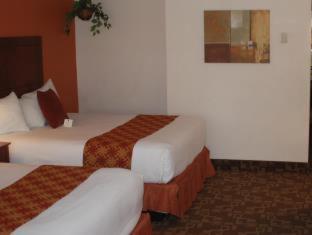 Oasis 3*