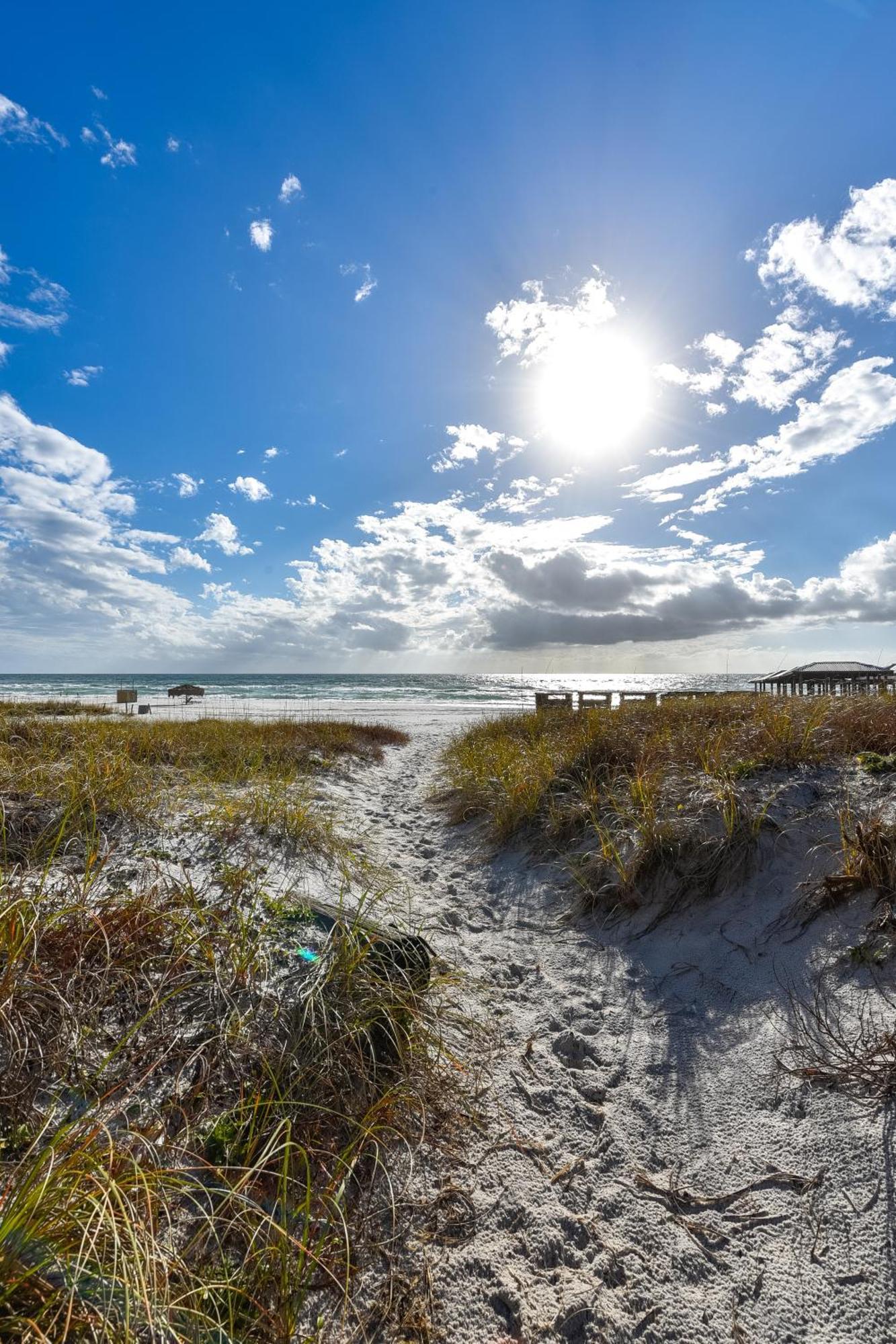 Feeling Tip'sea By Book That Panama City Beach