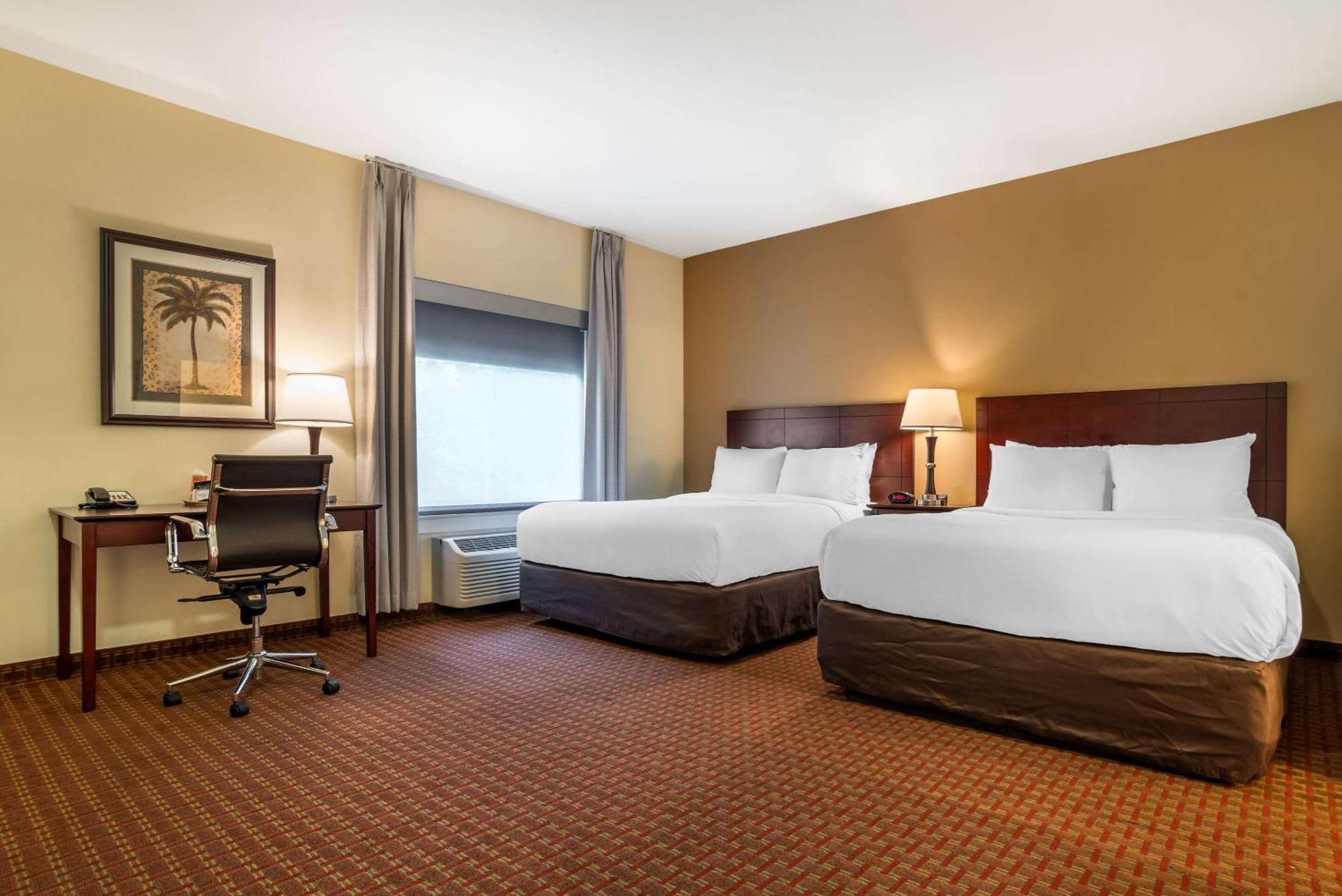 Comfort & Hotel