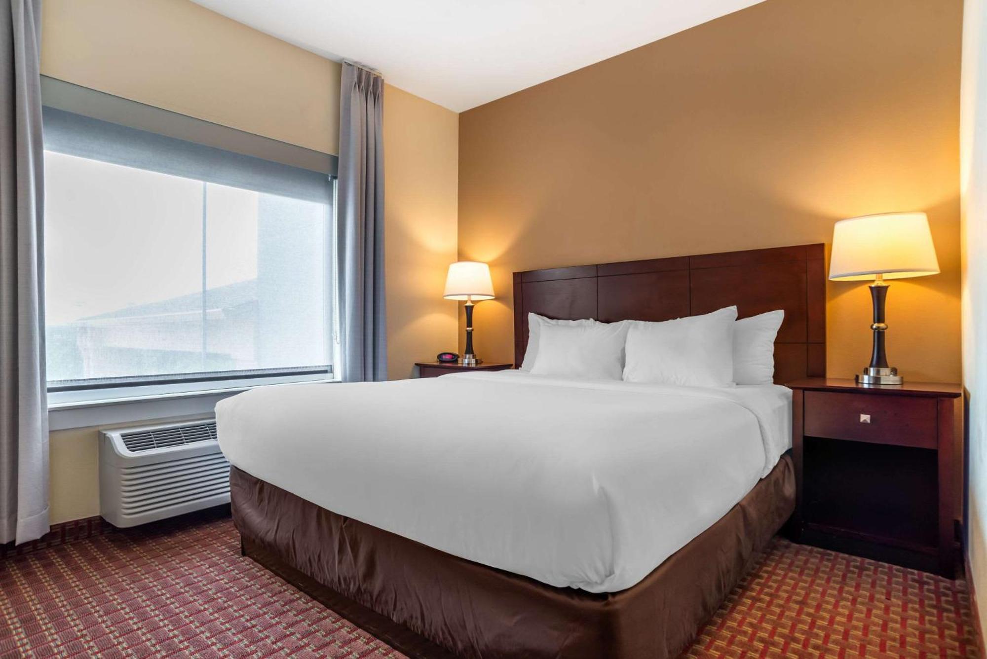 Comfort & Hotel