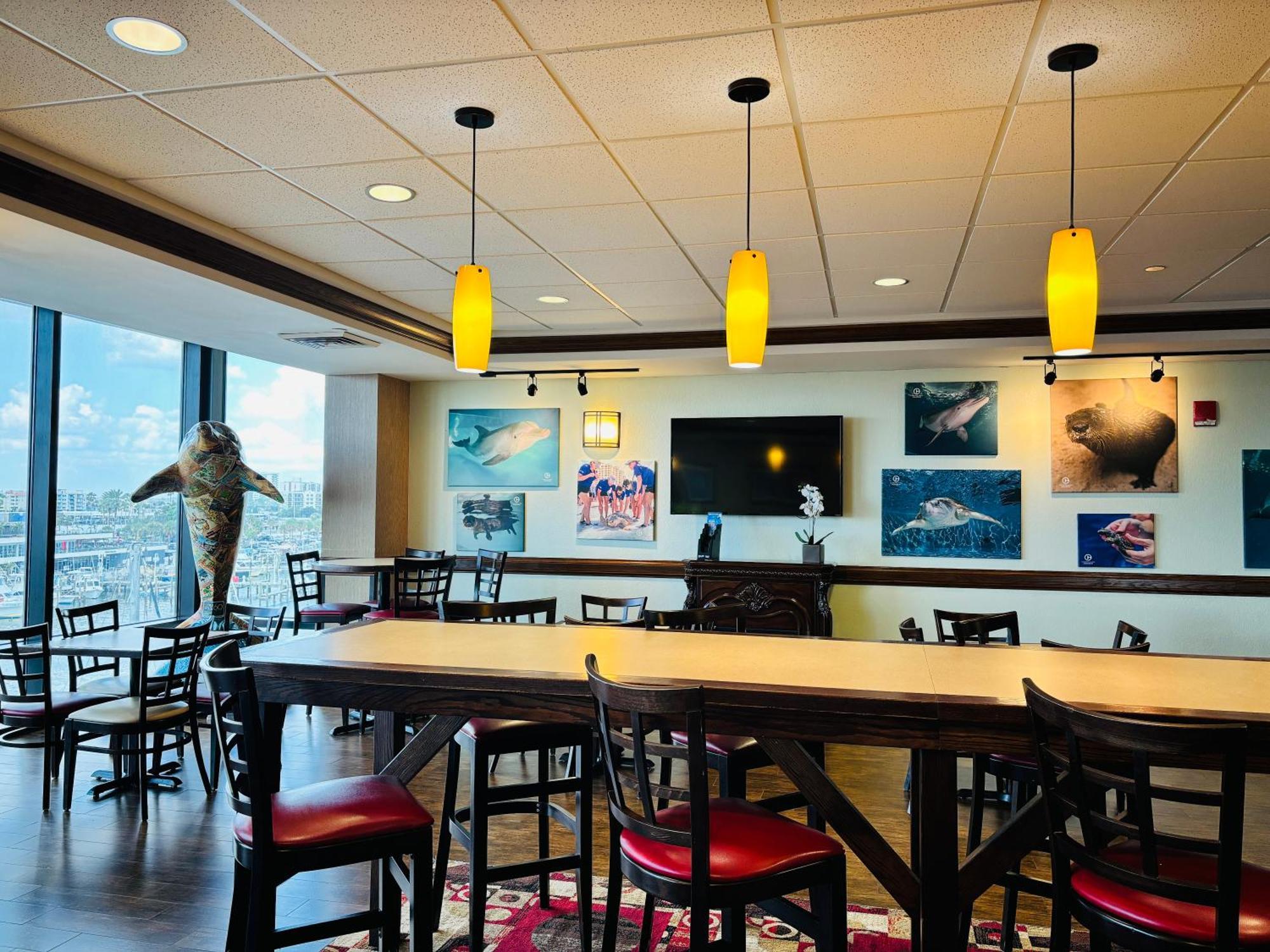 Pier House 60 Clearwater Marina Clearwater Beach