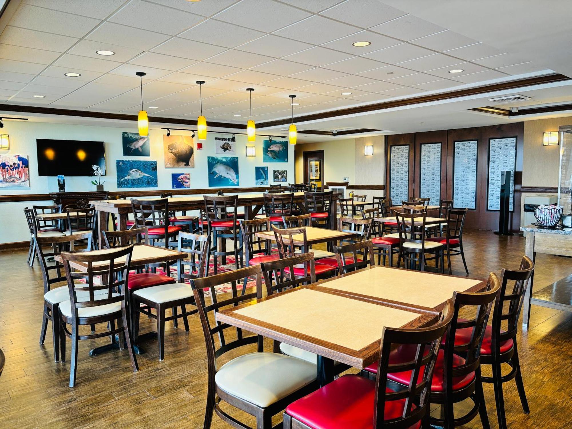Pier House 60 Clearwater Marina Hotel
