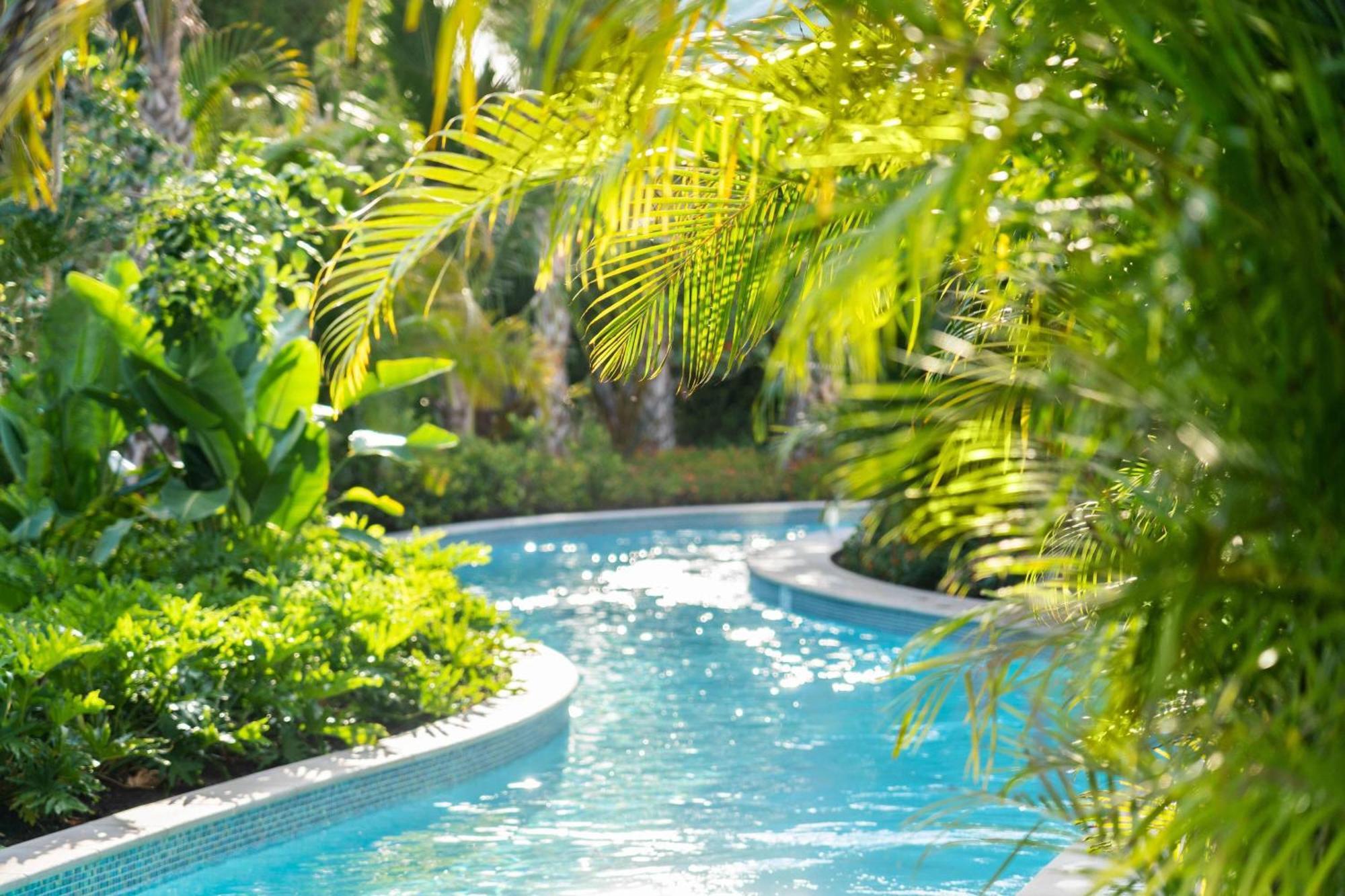 The Ritz-carlton Naples, Tiburon Naples