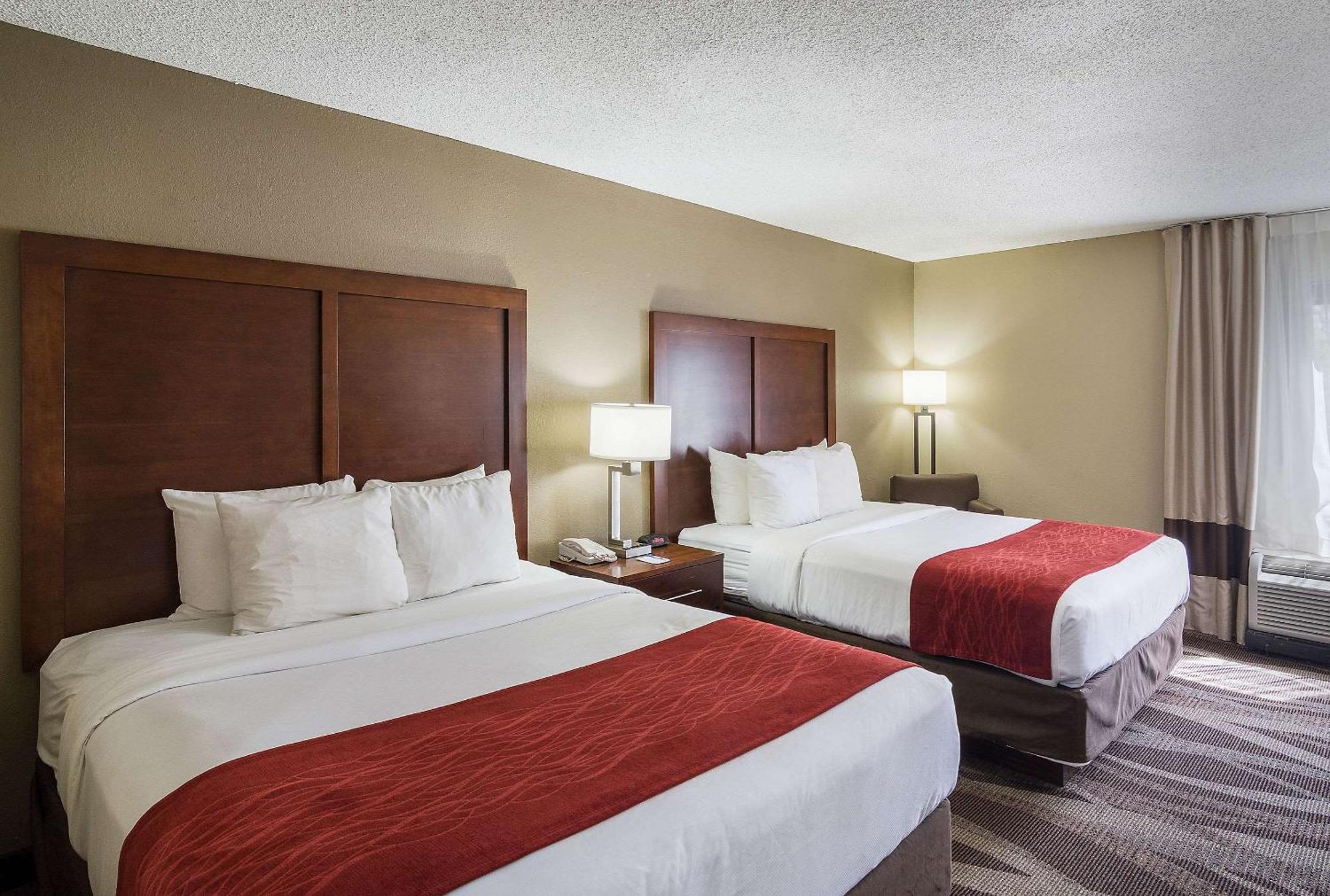 Inn Comfort - Area