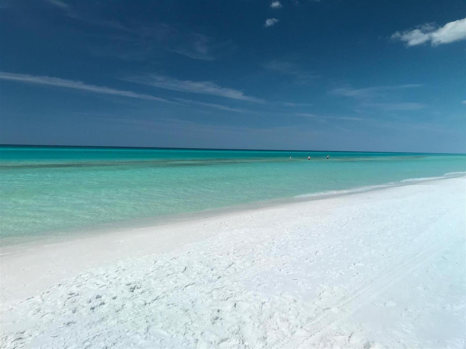 Seagrove - The Blue Dolphin Santa Rosa Beach