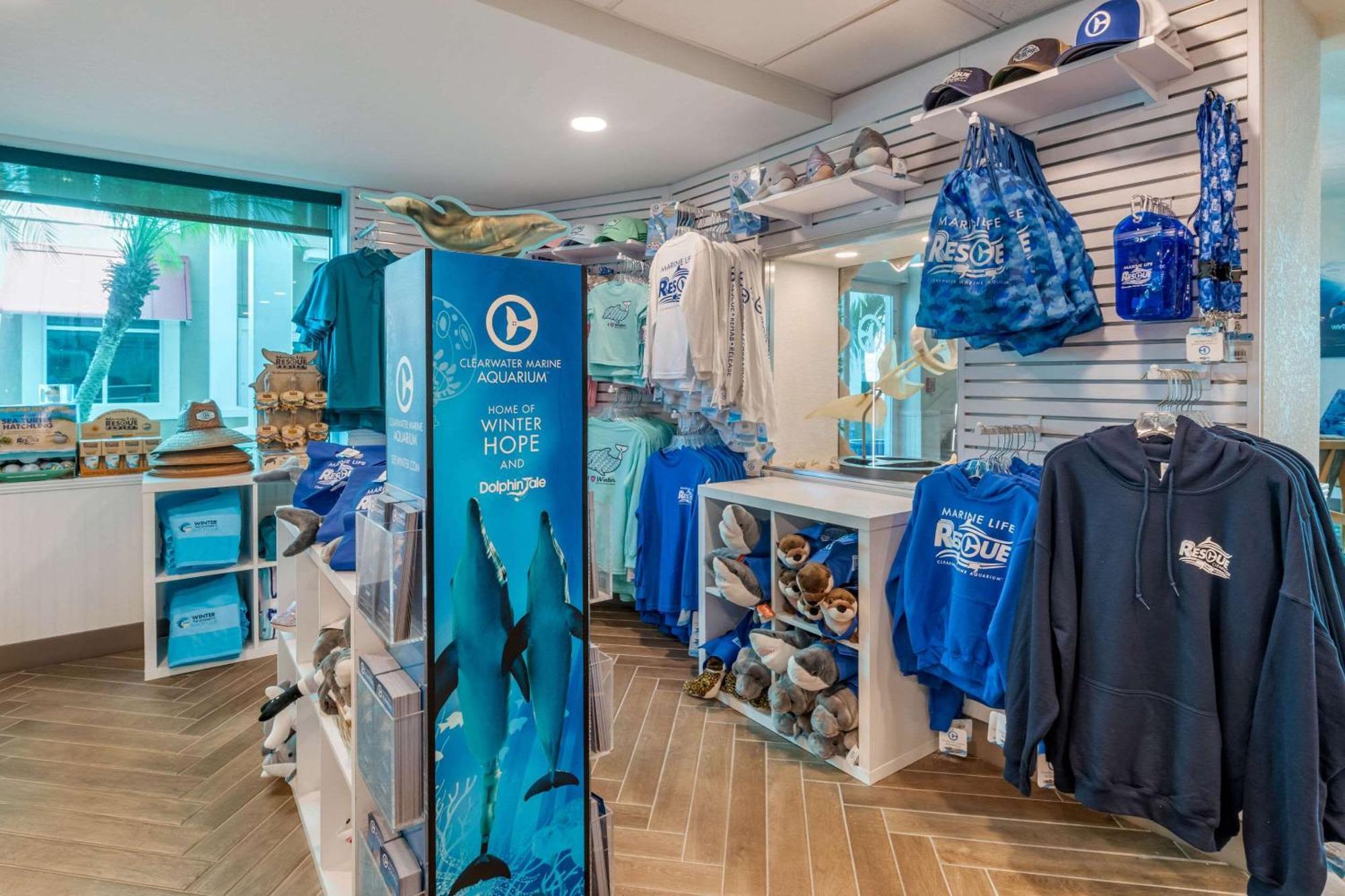 Winter The Dolphin's Club, Ascend Collection Hotel Clearwater Beach