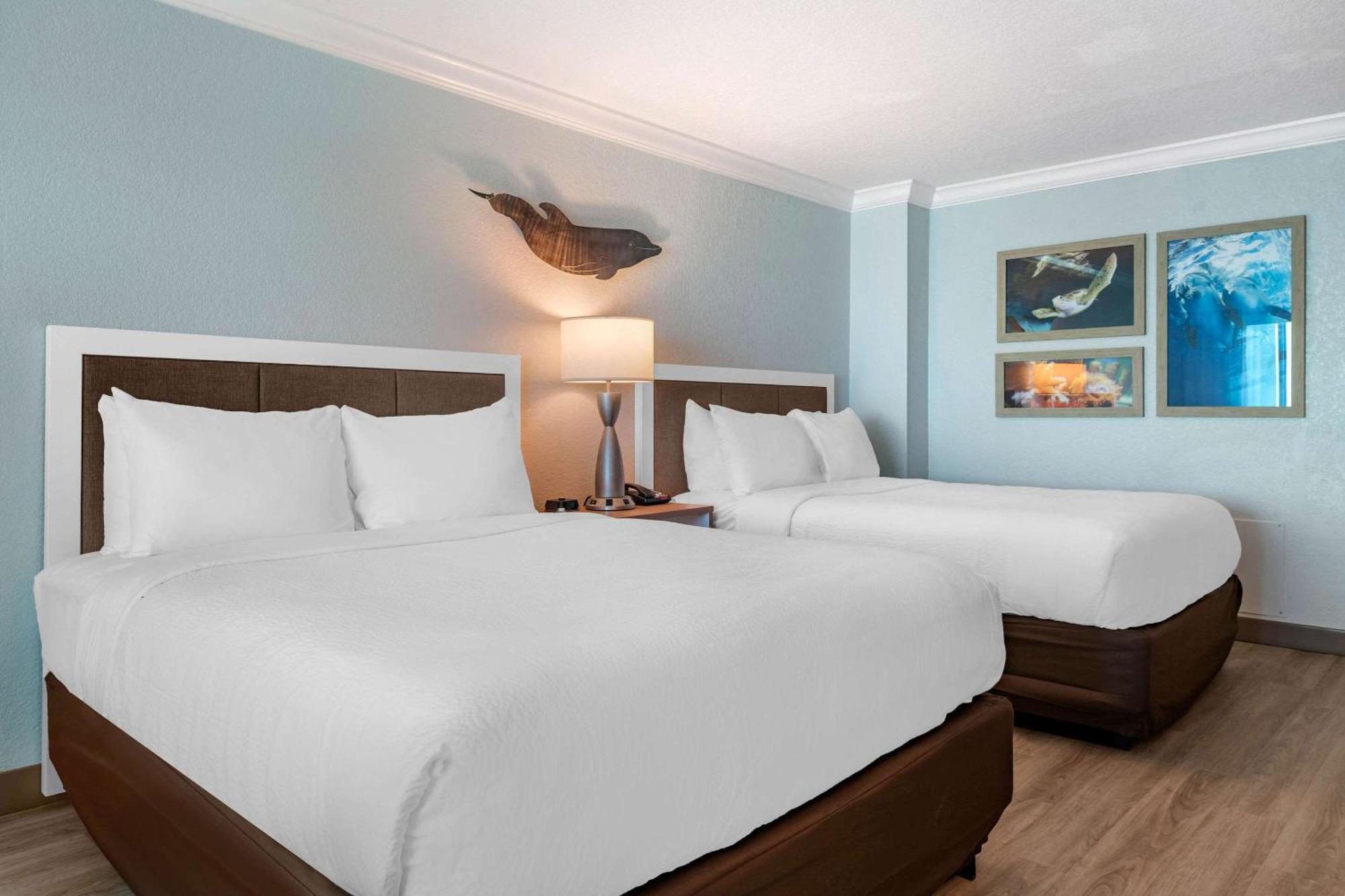 Winter The Dolphin's Club, Ascend Collection 3* Clearwater Beach