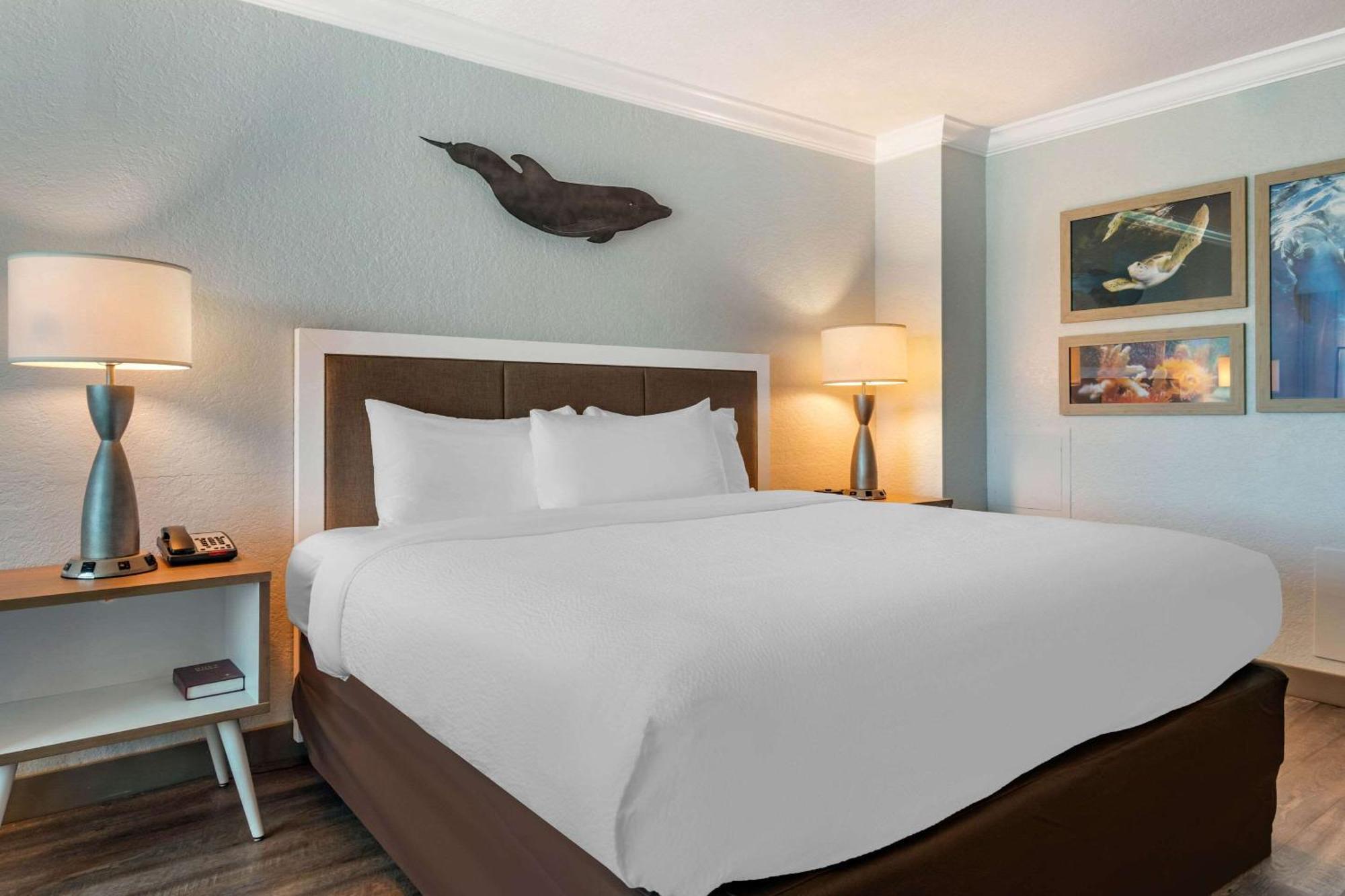 Winter The Dolphin's Club, Ascend Collection Hotel