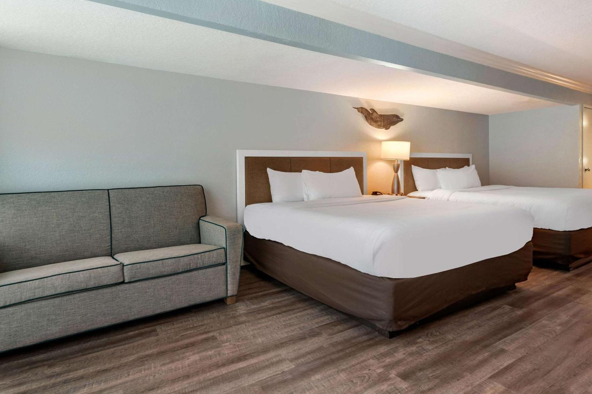 Hotel Winter The Dolphin's Club, Ascend Collection