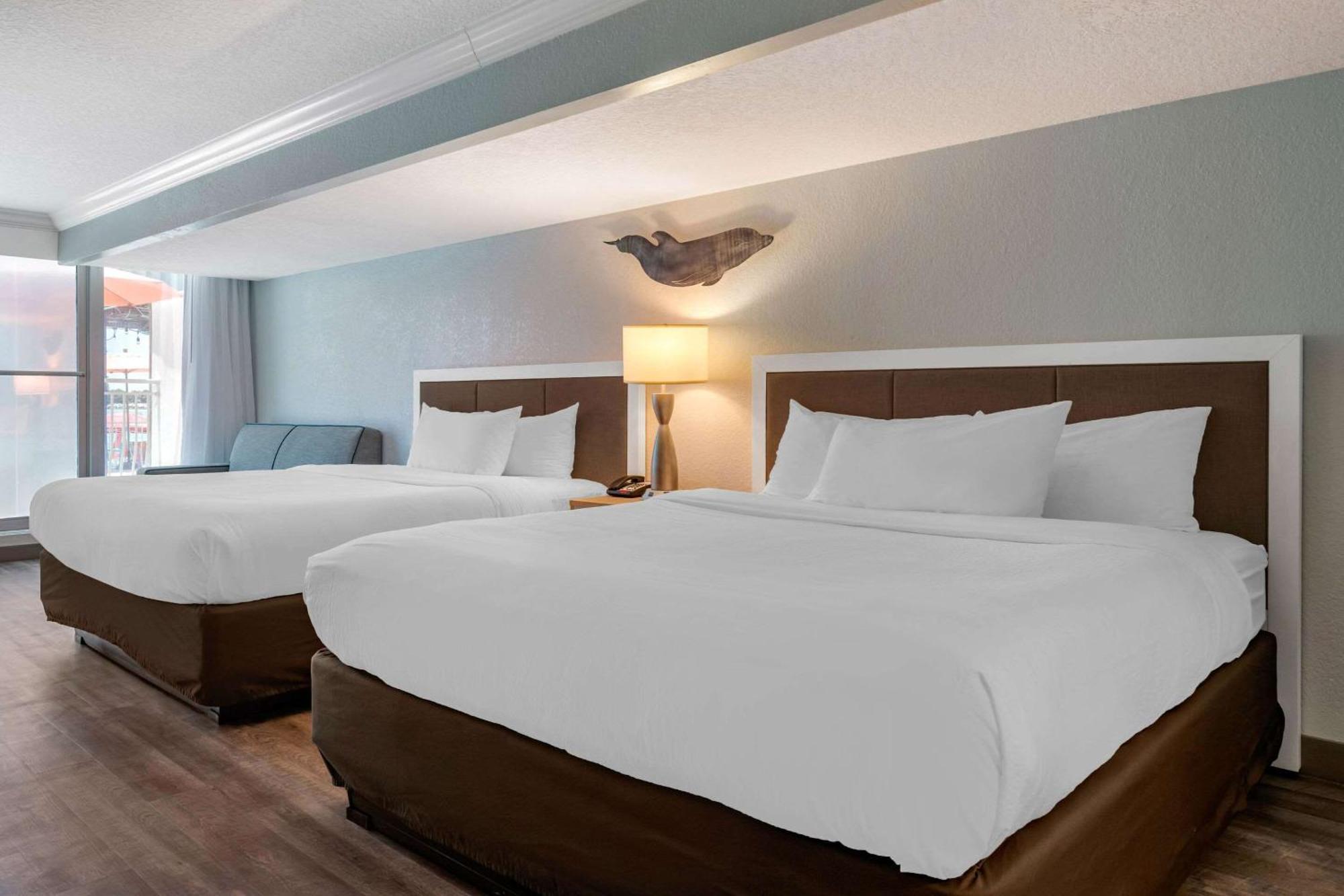 Winter The Dolphin's Club, Ascend Collection Hotel 3*