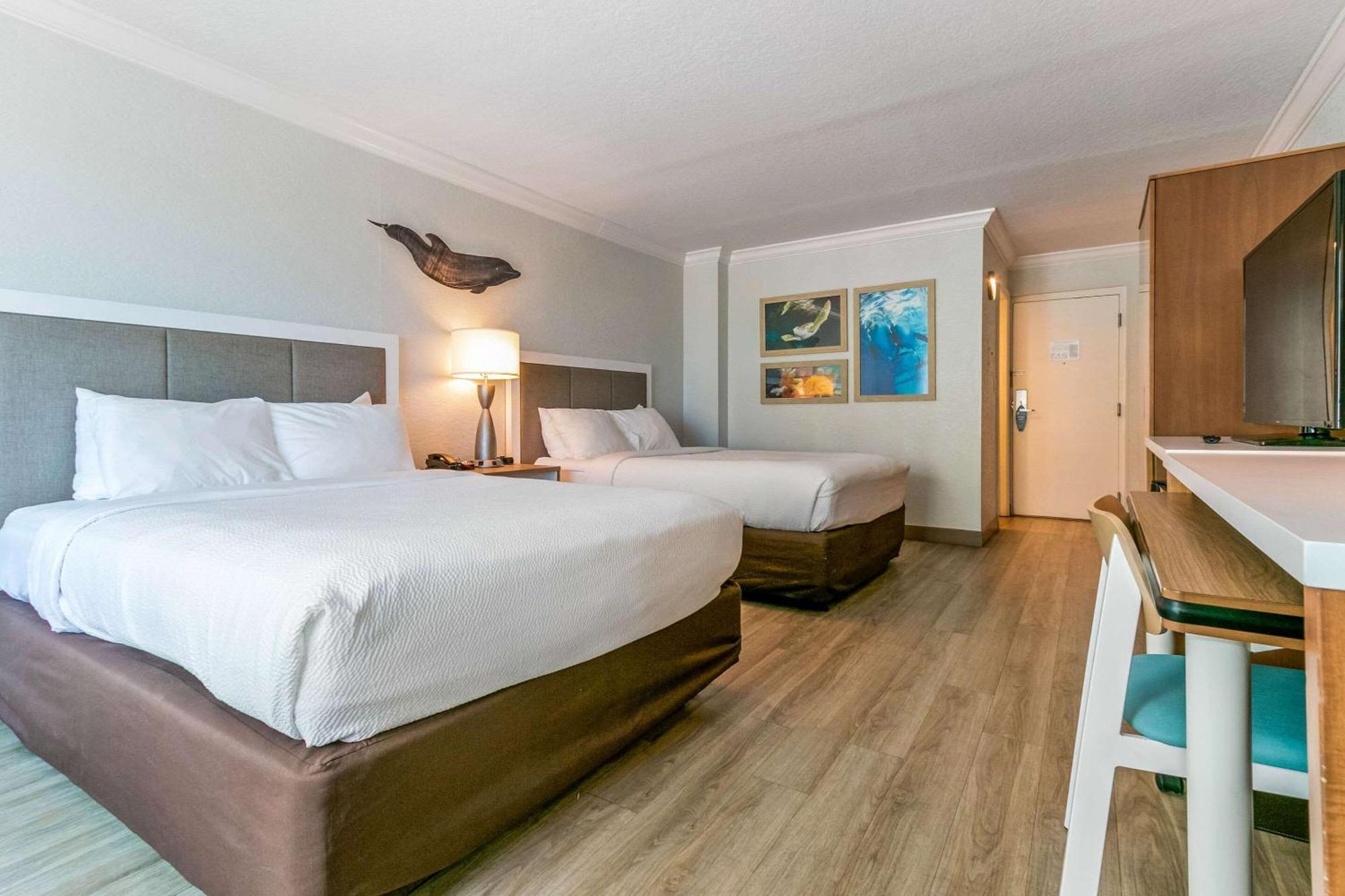 Hotel Winter The Dolphin's Club, Ascend Collection 3*