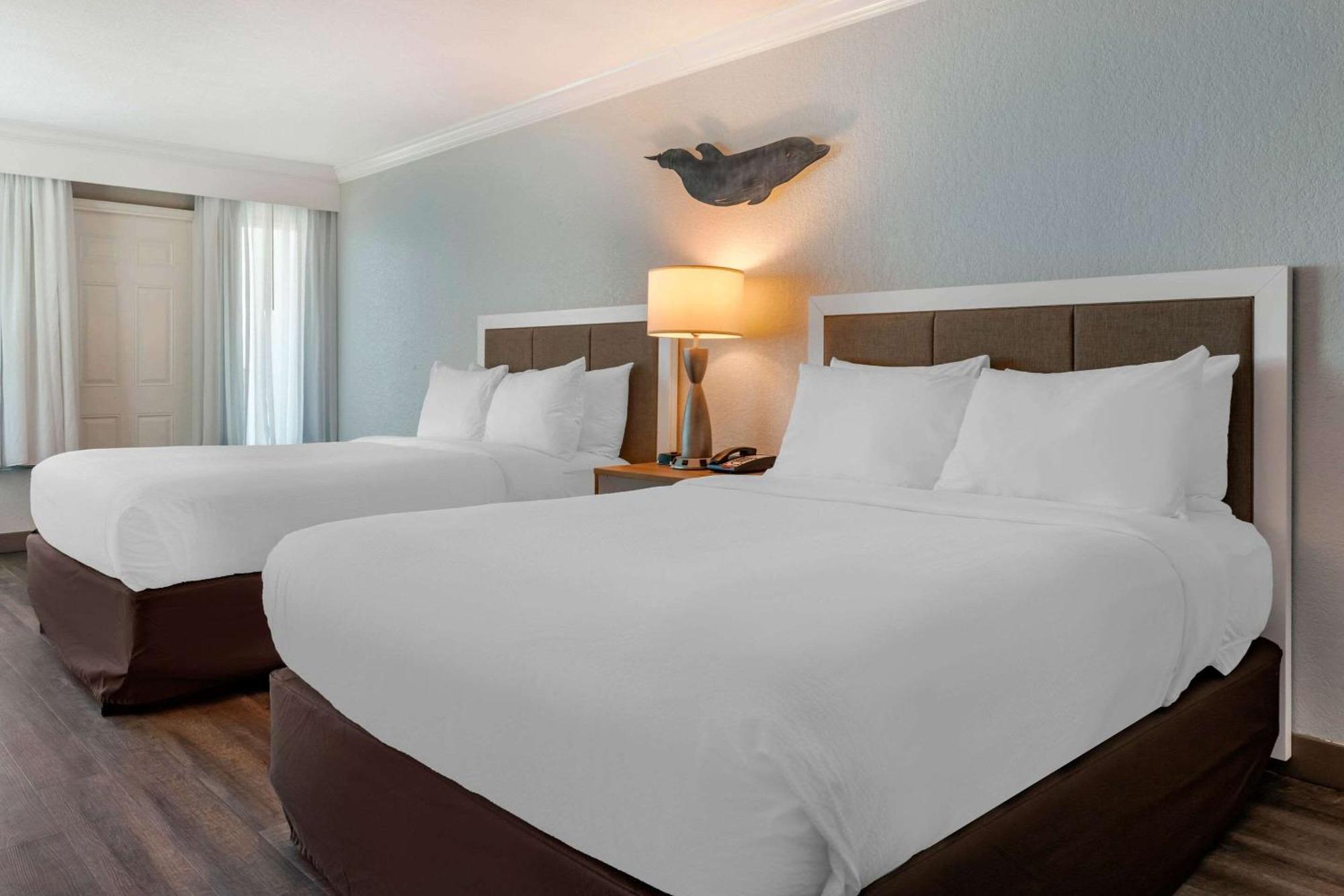 Winter The Dolphin's Club, Ascend Collection Clearwater Beach