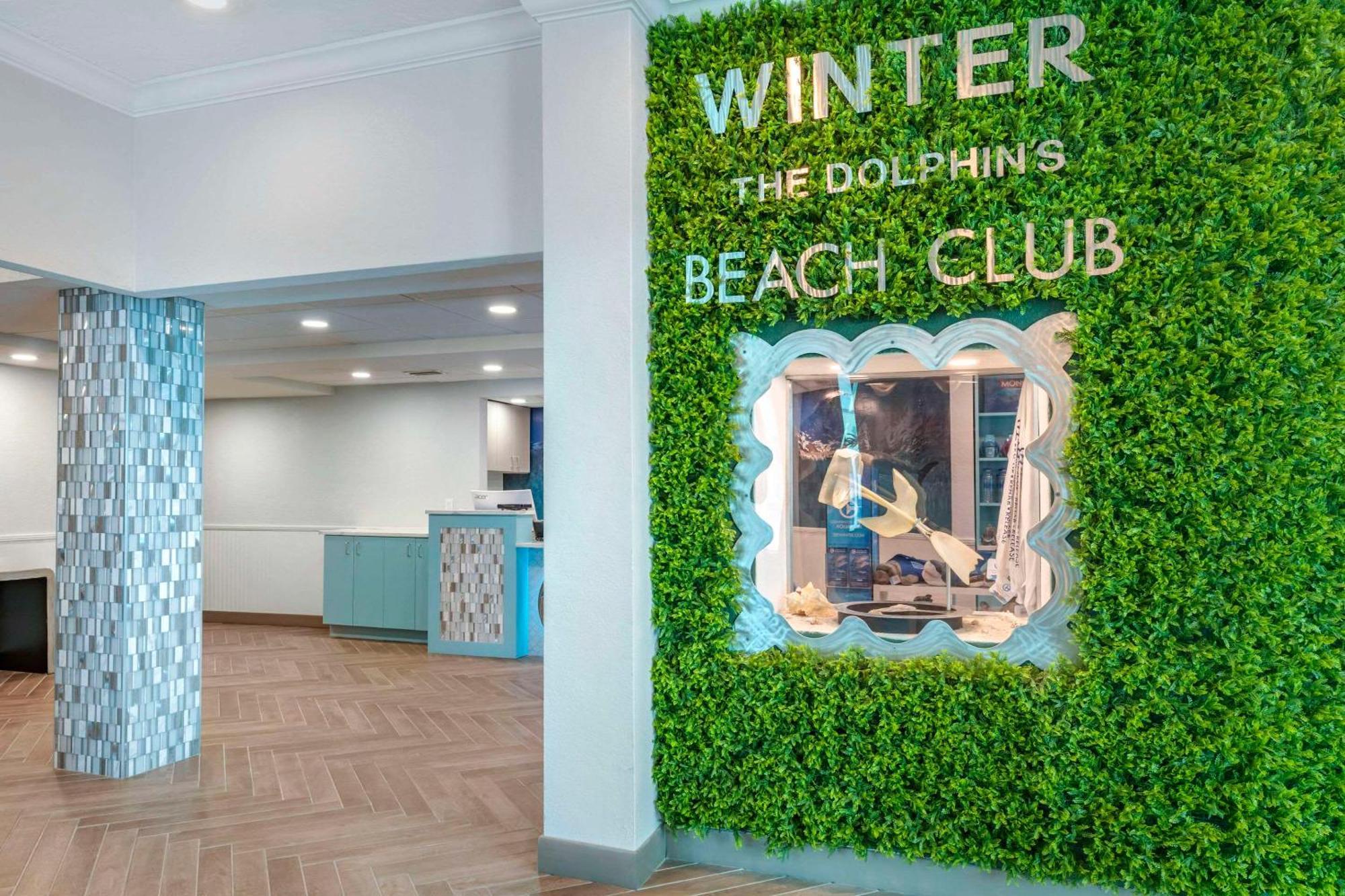 Winter The Dolphin's Club, Ascend Collection Hotel 3*