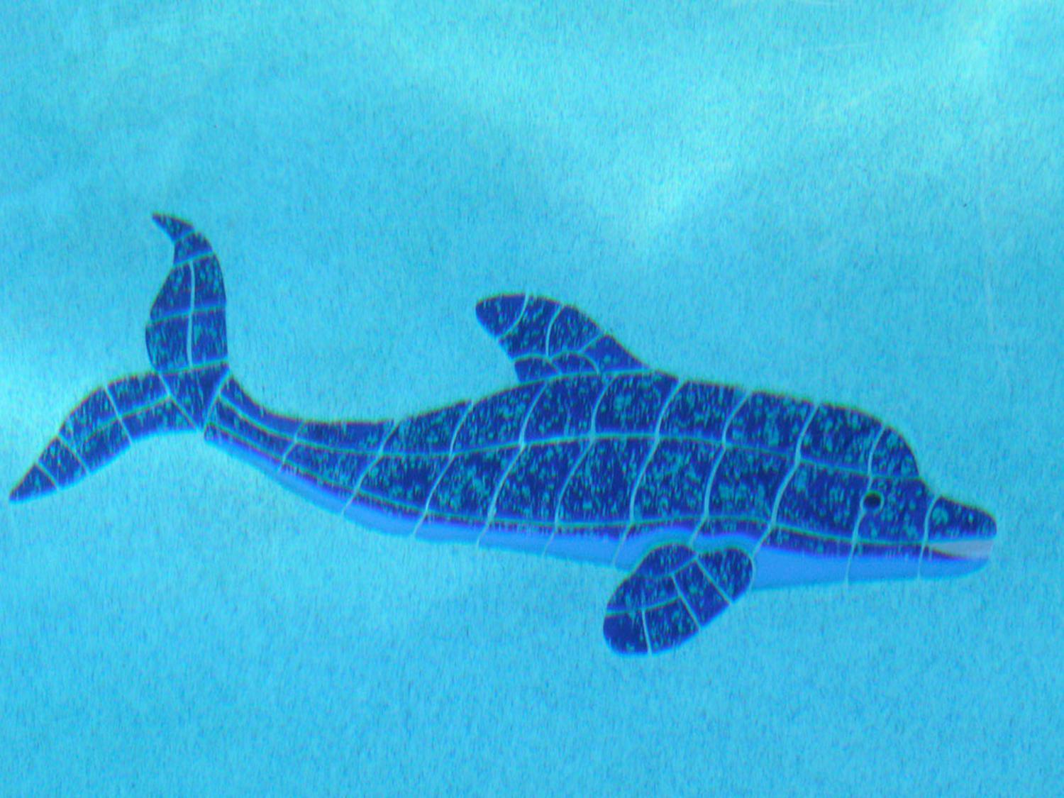 Dolphin Retreat - East *