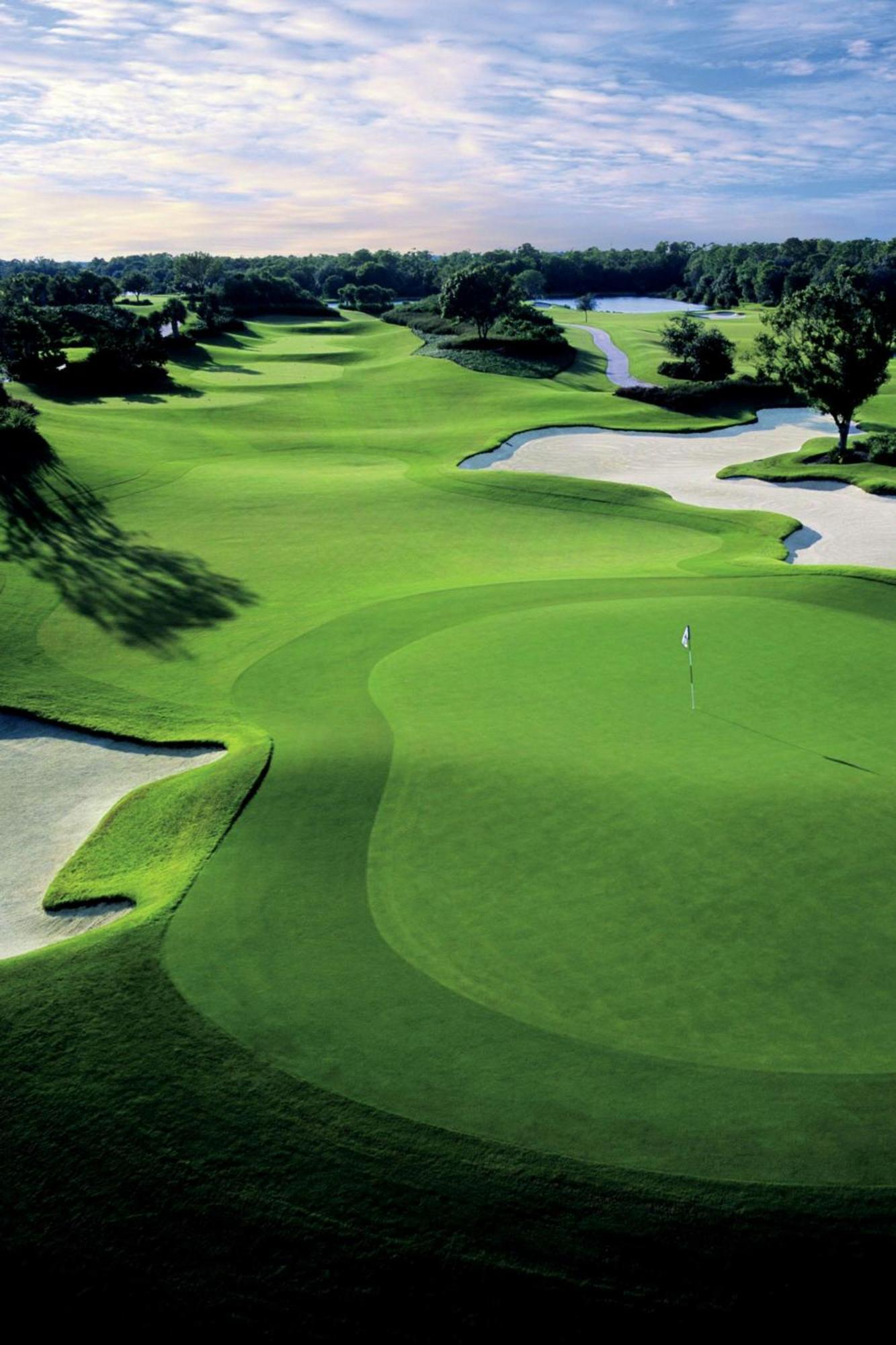 The Ritz-carlton,