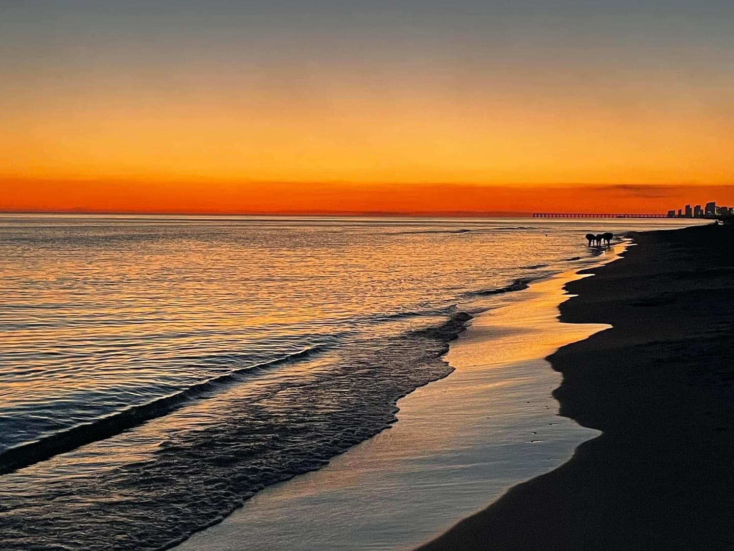 716 Ori Apartment Panama City Beach