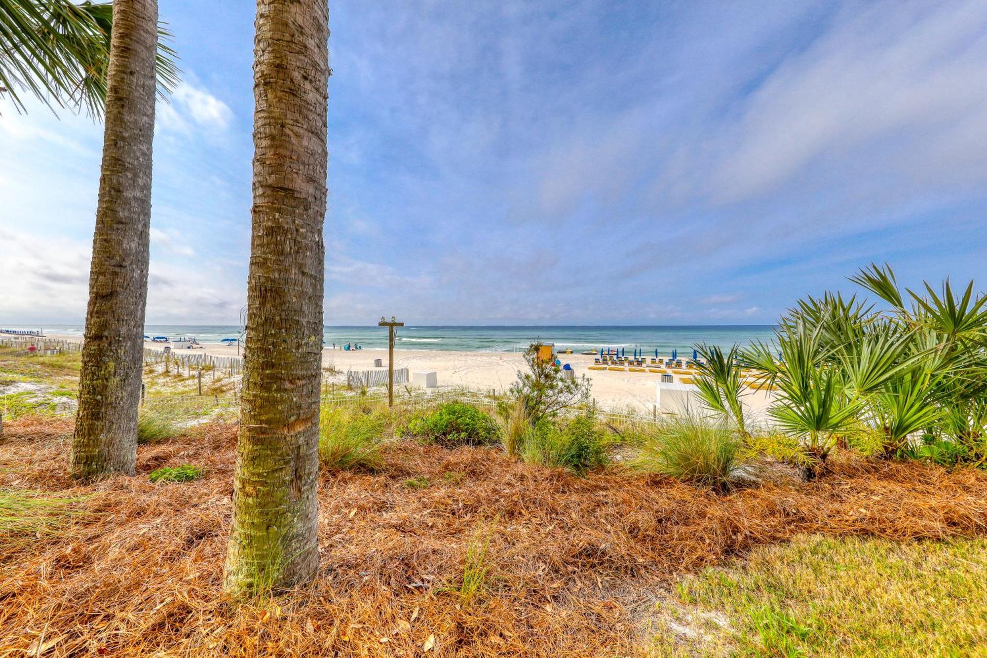Apartment Calypso Panama City Beach