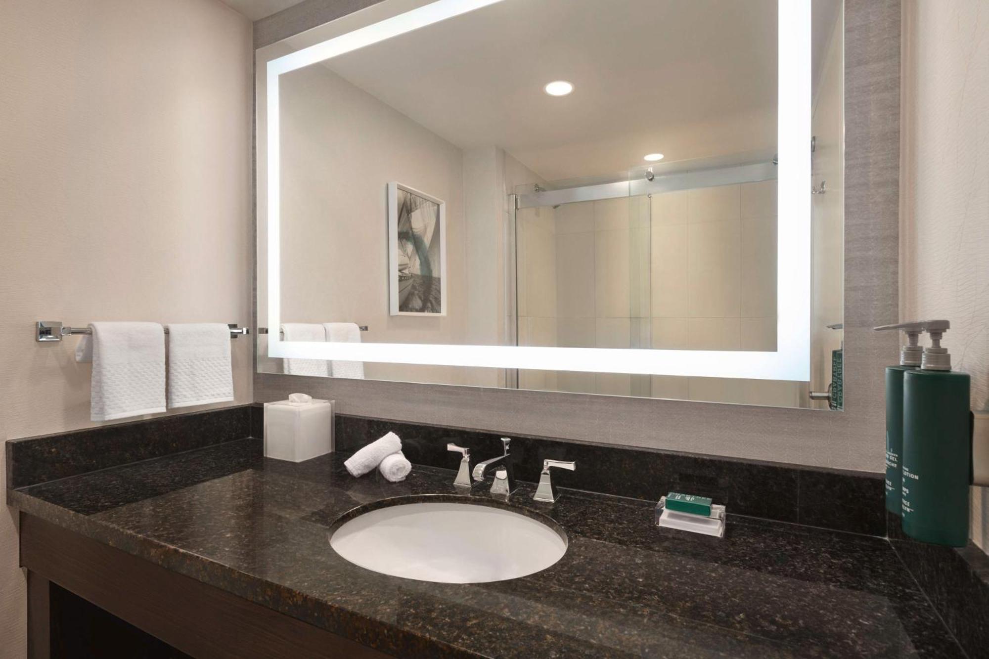Hotel Hilton Downtown 4*