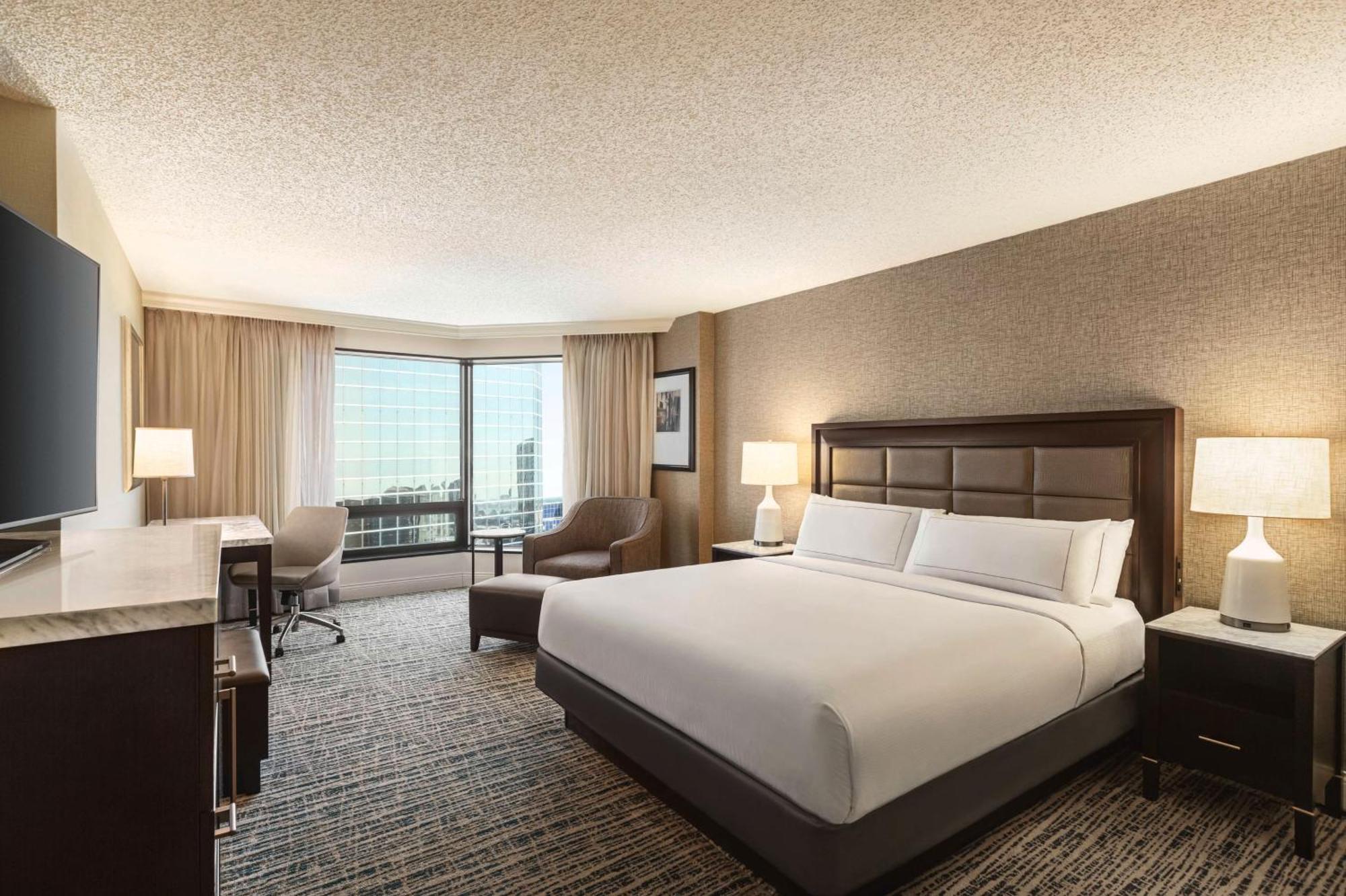 Hotel Hilton Downtown Tampa