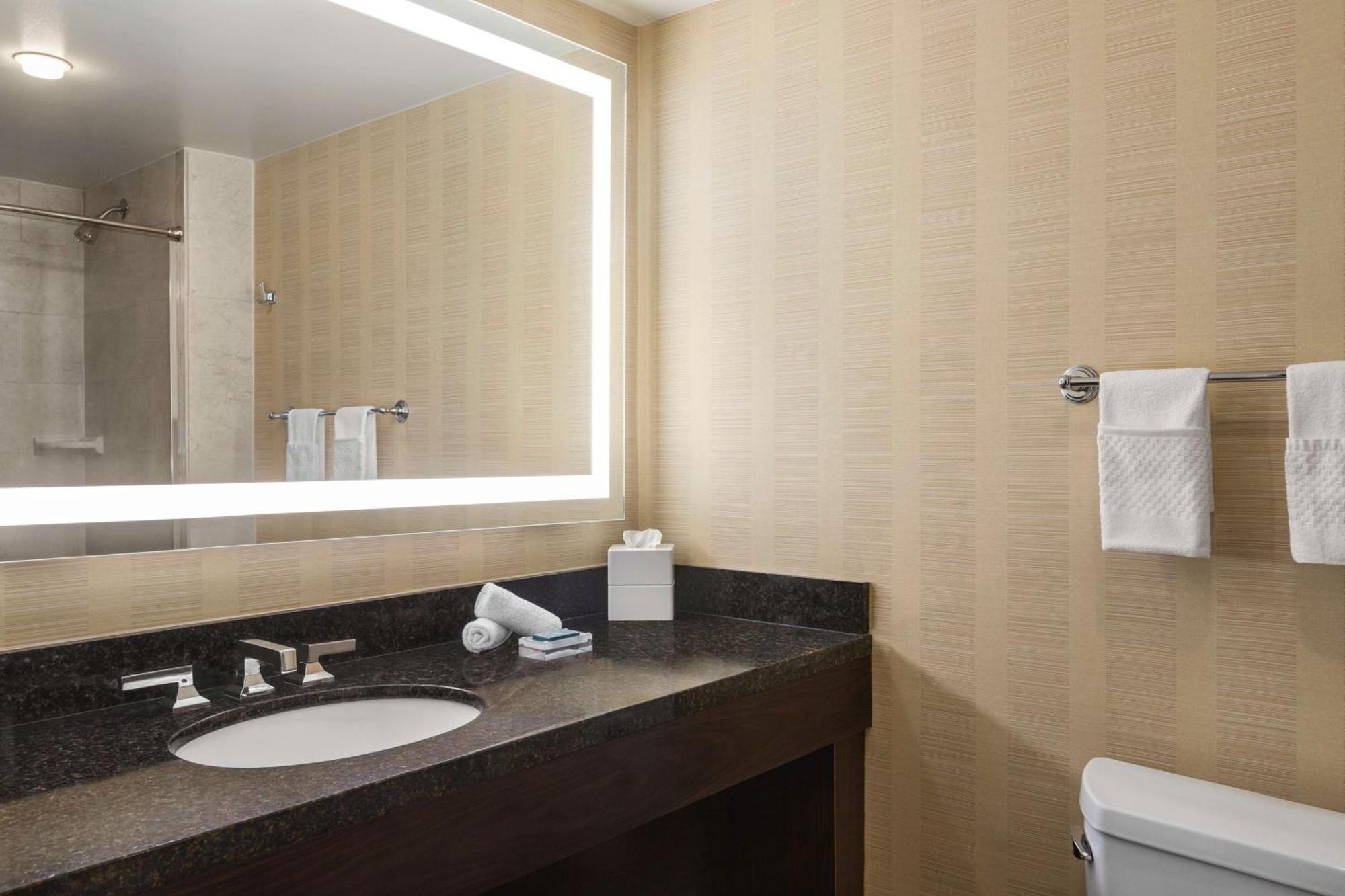 Hilton Downtown Hotel