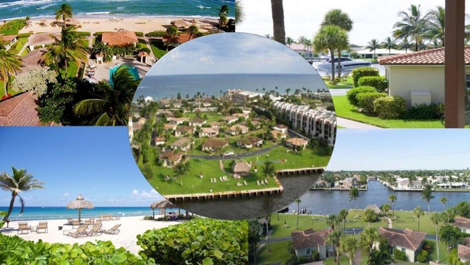 Royal Flamingo 3*