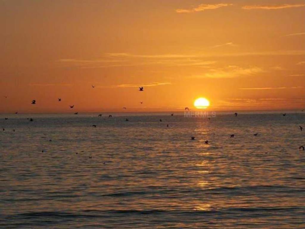 Crescent Arms * Siesta Key