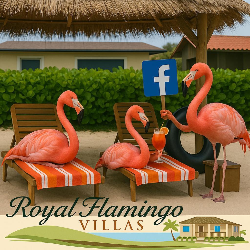 Royal Flamingo Hillsboro Beach