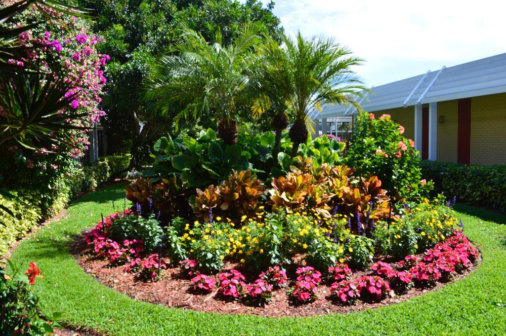 Collins Naples