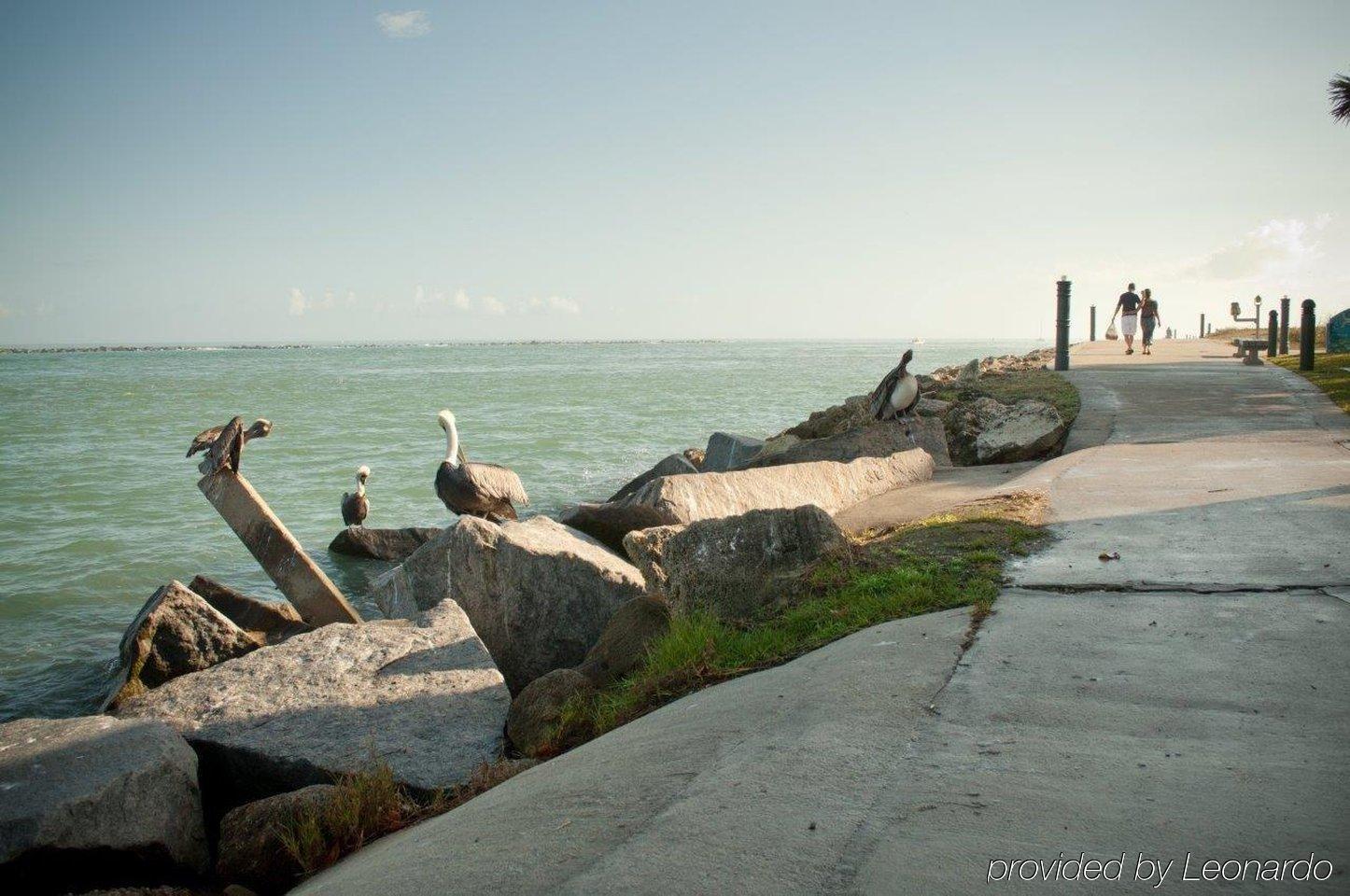 Royal Hutchinson Island Hotel Fort Pierce