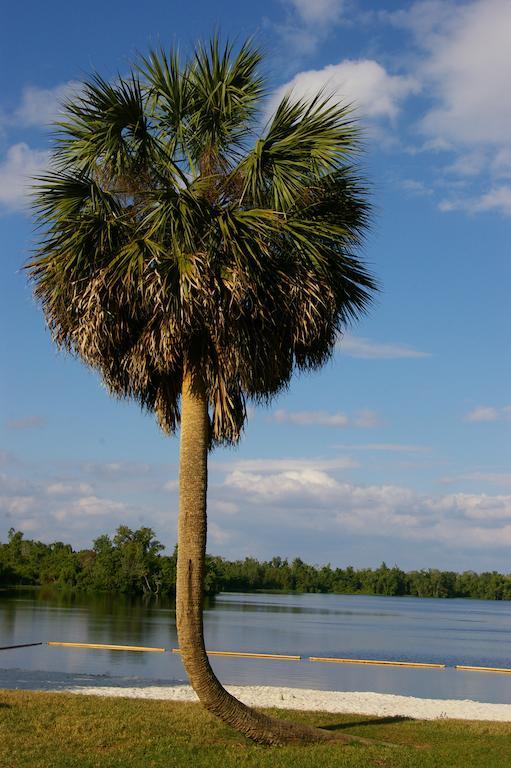 Resort Cypress Cove Nudist Poinciana