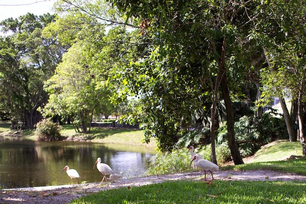 Club Wyndham Palm-aire Pompano Beach